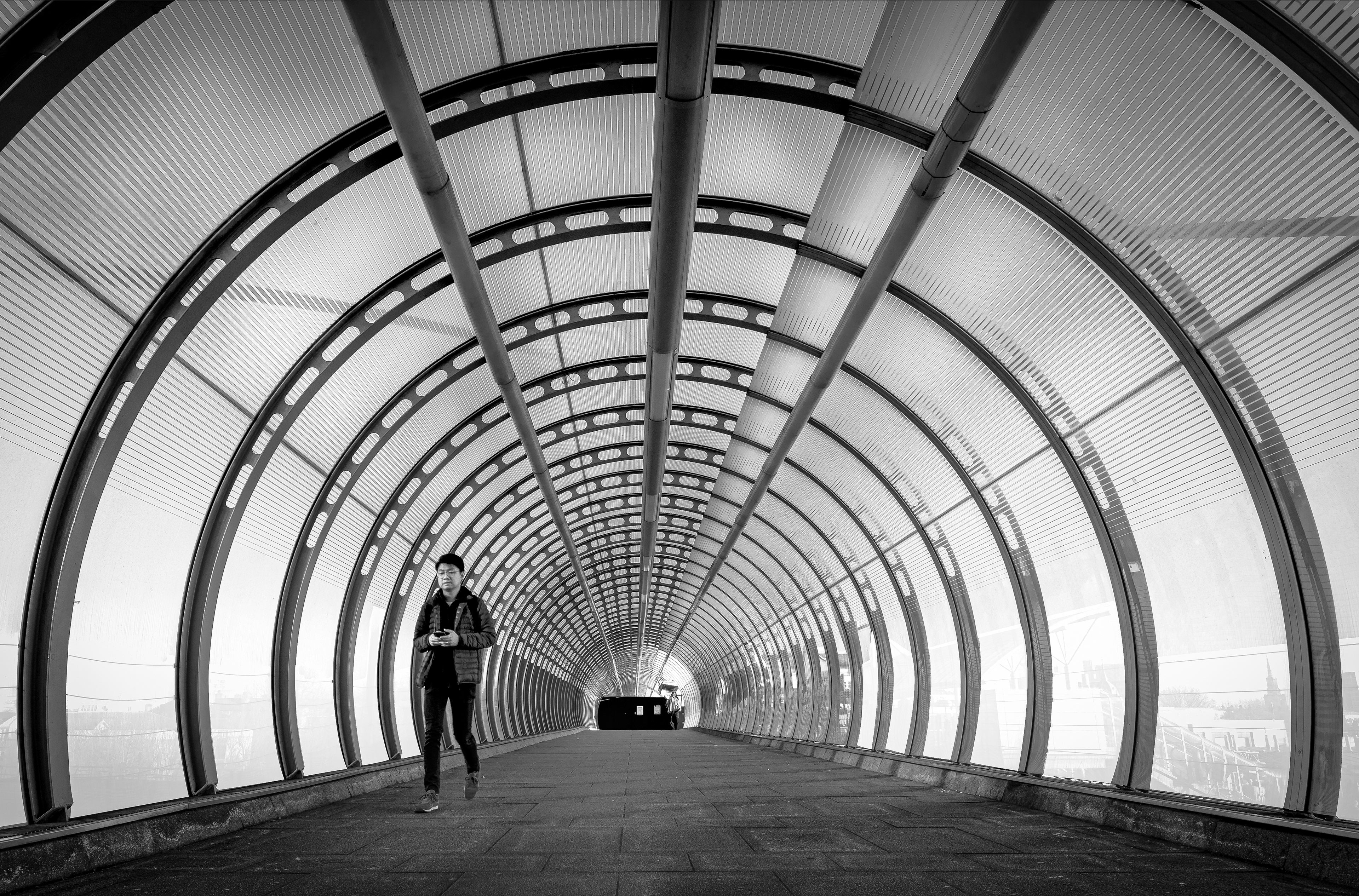 The Walkway