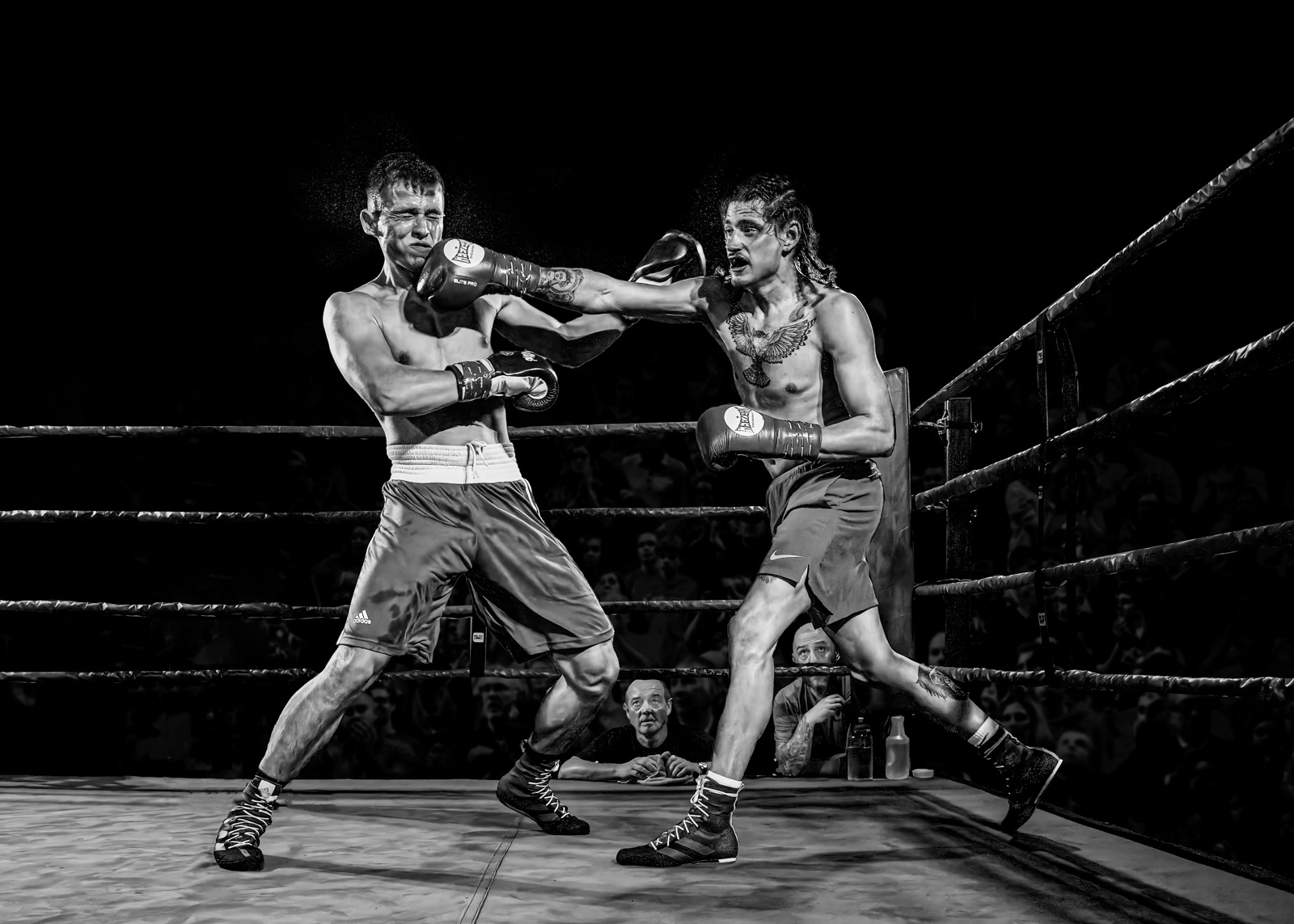 Moments Before Knock Down