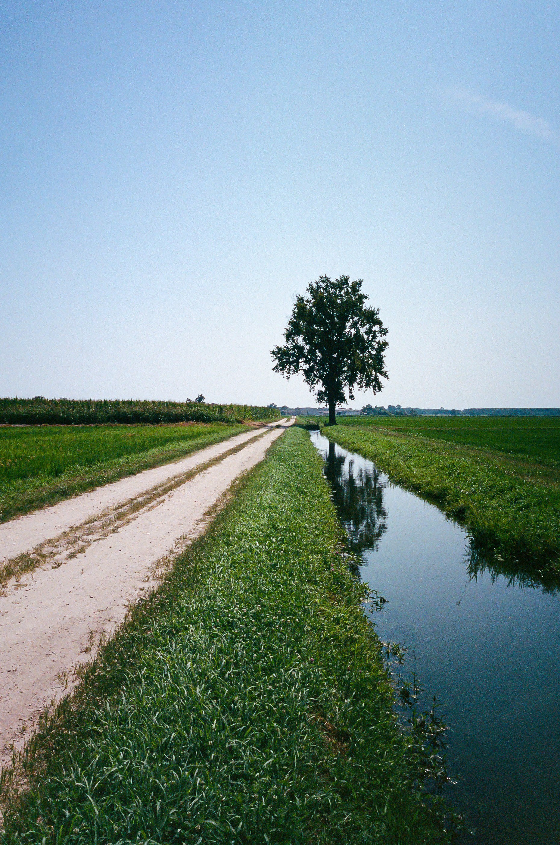 Humid Days II - It was July now and the heat had fully arrived in Europe. Most days the temperature crept into the low 90's. In Northern Italy, where I was walking at this time, there is an abundance of open farmland. Many of those farms I came to learn were growing rice. Which meant a lot of standing water in the fields. This meant a sapping humidity to complement the heat as well as plenty of zanzare - mosquitos, who had a proper feast anytime I came over the horizon. These were hard days. Photo by - Aaron Guy Leroux - July, 2024 - Province of Pavia, Italy