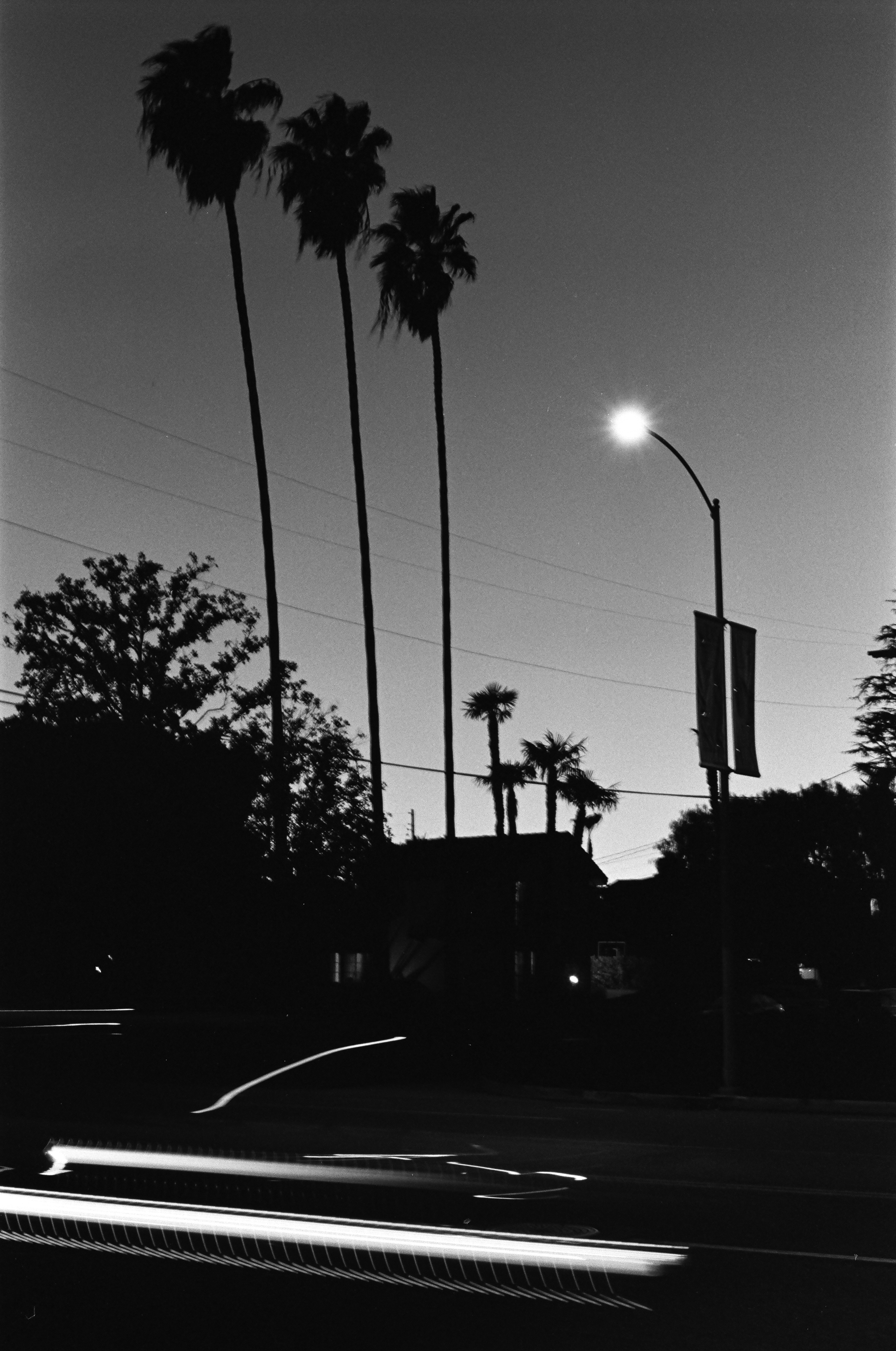 Three Palms: Three palms wave in the Santa Ana winds as cars race by. HP5 pushed to 1600.Photo by - Aaron Guy Leroux - January 26, 2023