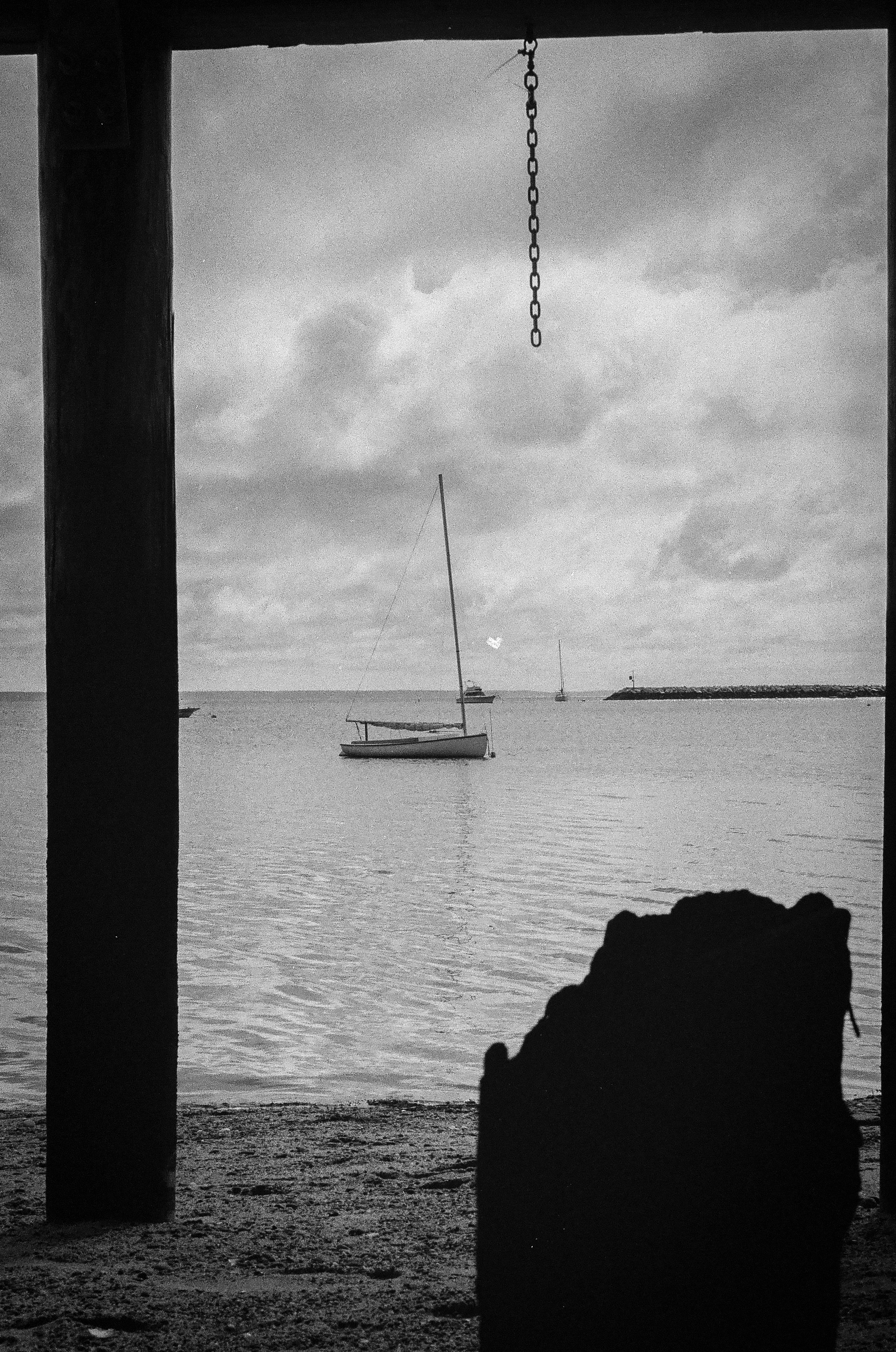 P-Town Dock: Under a dock at low tide in Provincetown. September 25, 2021-Provincetown-Photo by Aaron Guy Leroux
