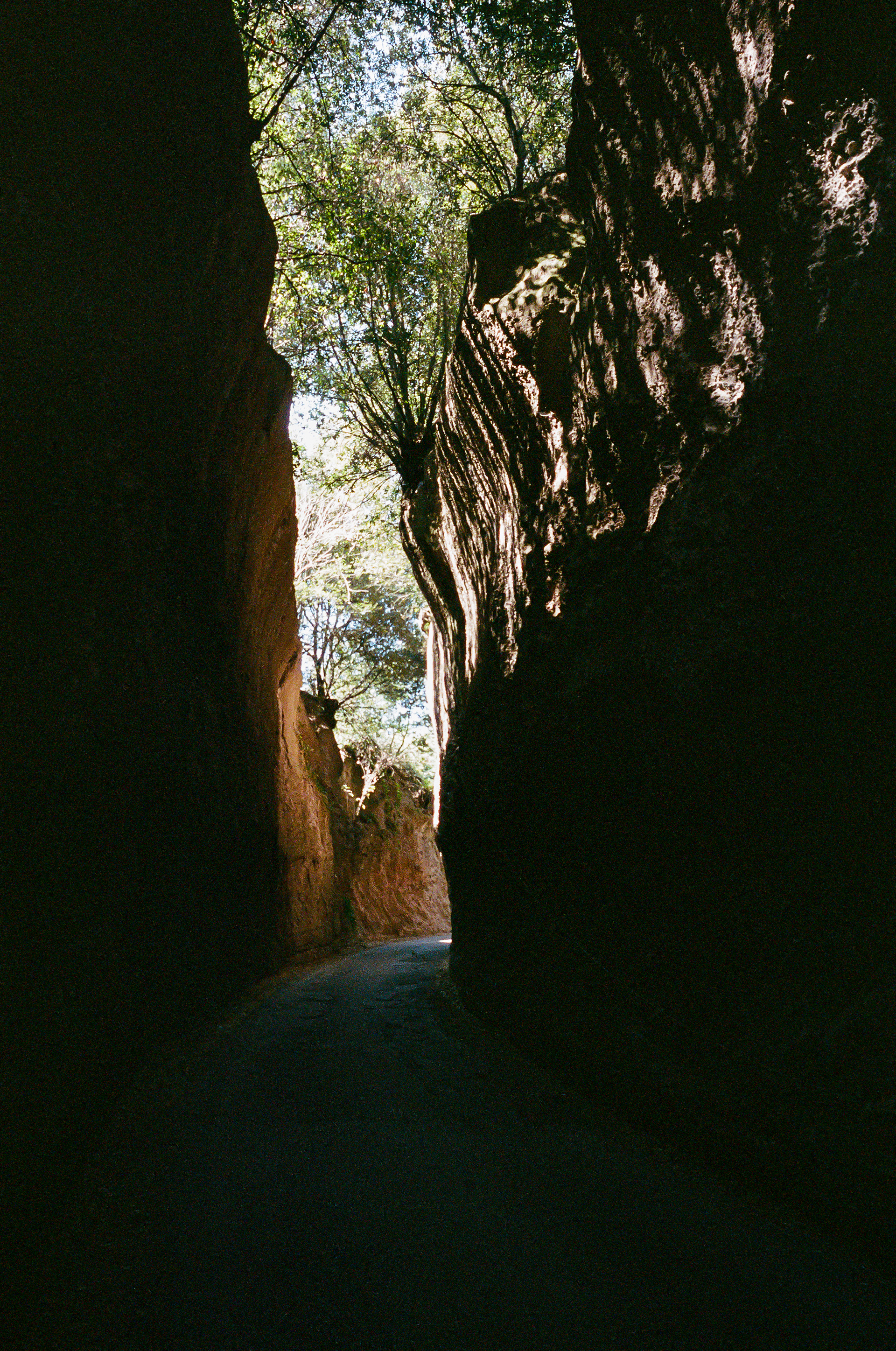 Leaving Viterbo - After a quick stay with my friend Alessandro, I set out from Viterbo for the last few legs of my journey. My path, the Via Francigena, took me through this odd section of road carved right out of the Earth. Photo by - Aaron Guy Leroux - August, 2024 - Viterbo, Italy