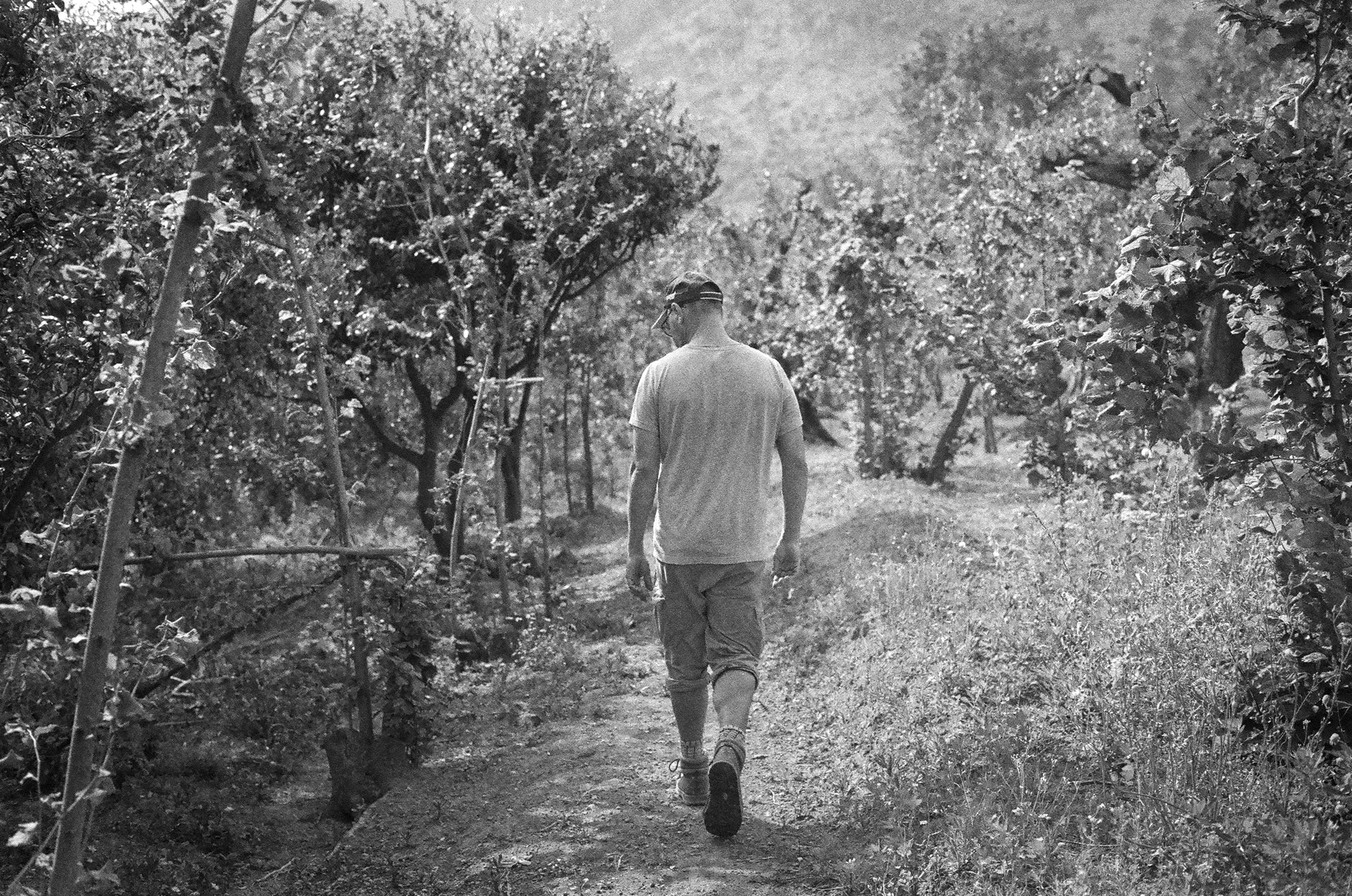 The Grove: Nunzio walks through his families olive grove in the mountains above Sarno. May 14 2022 - Sarno, Italy - Photo by Aaron Guy Leroux