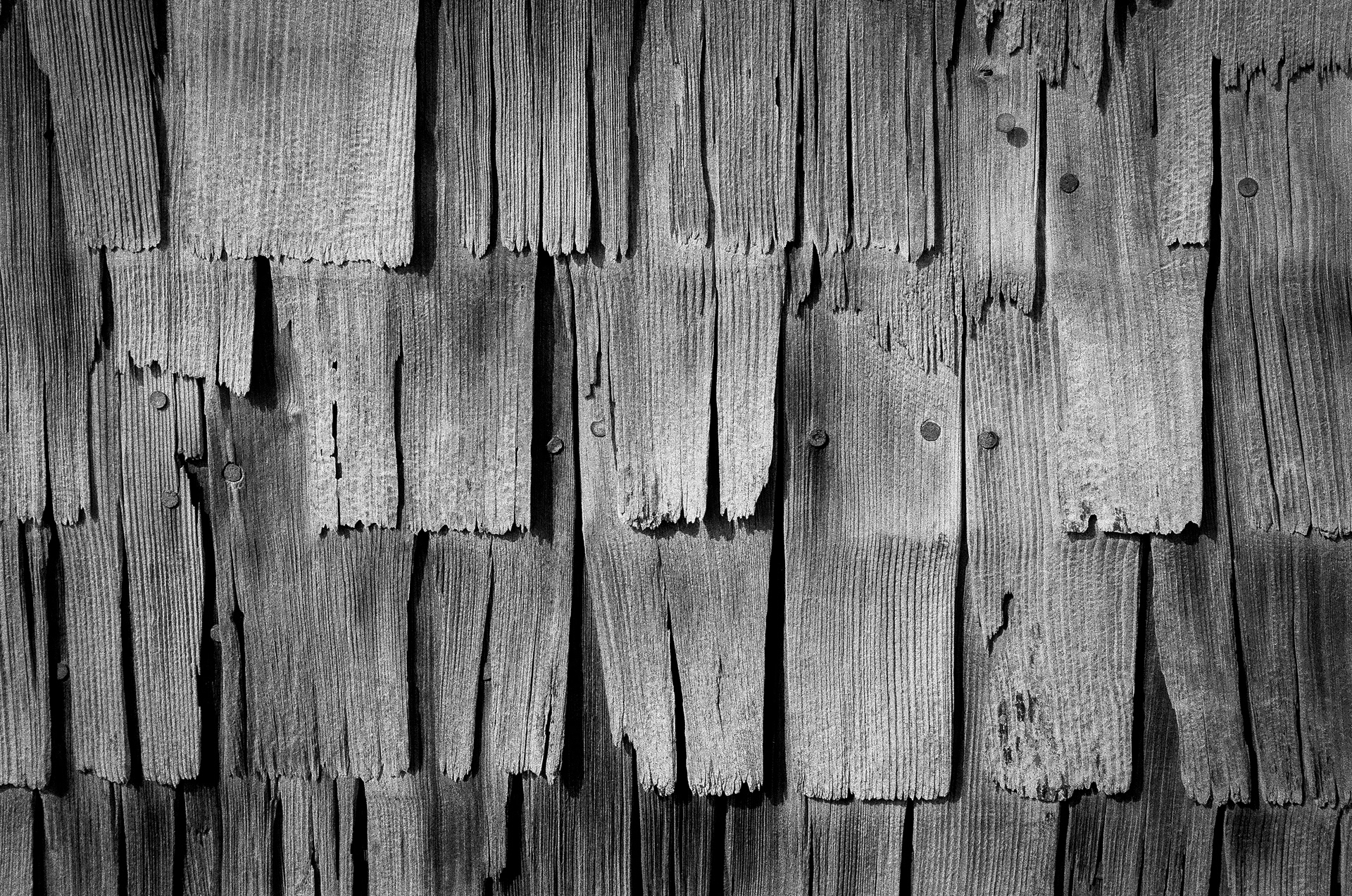 Weathered Siding: A boathouse resting on the Wellfleet shoreline. Displaying the trademark weathered siding ubiquitous on Cape Cod. September 24, 2021-Wellfleet-Photo by Aaron Guy Leroux