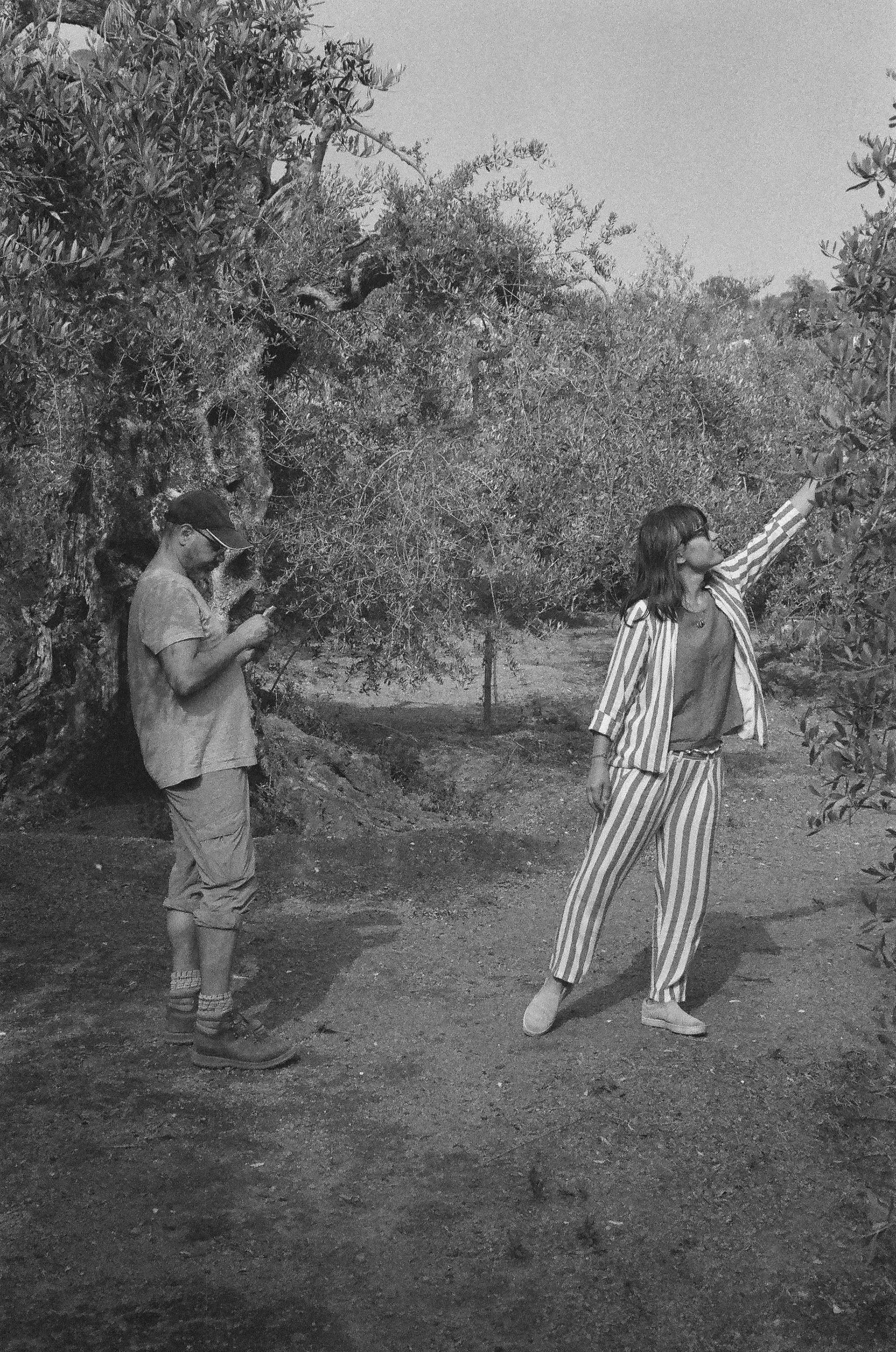 Picking: Ceci picks a small fruit off one of the citrus trees in the Annunziata family grove in the hills above Sarno. May 14 2022 - Sarno, Italy - Photo by Aaron Guy Leroux