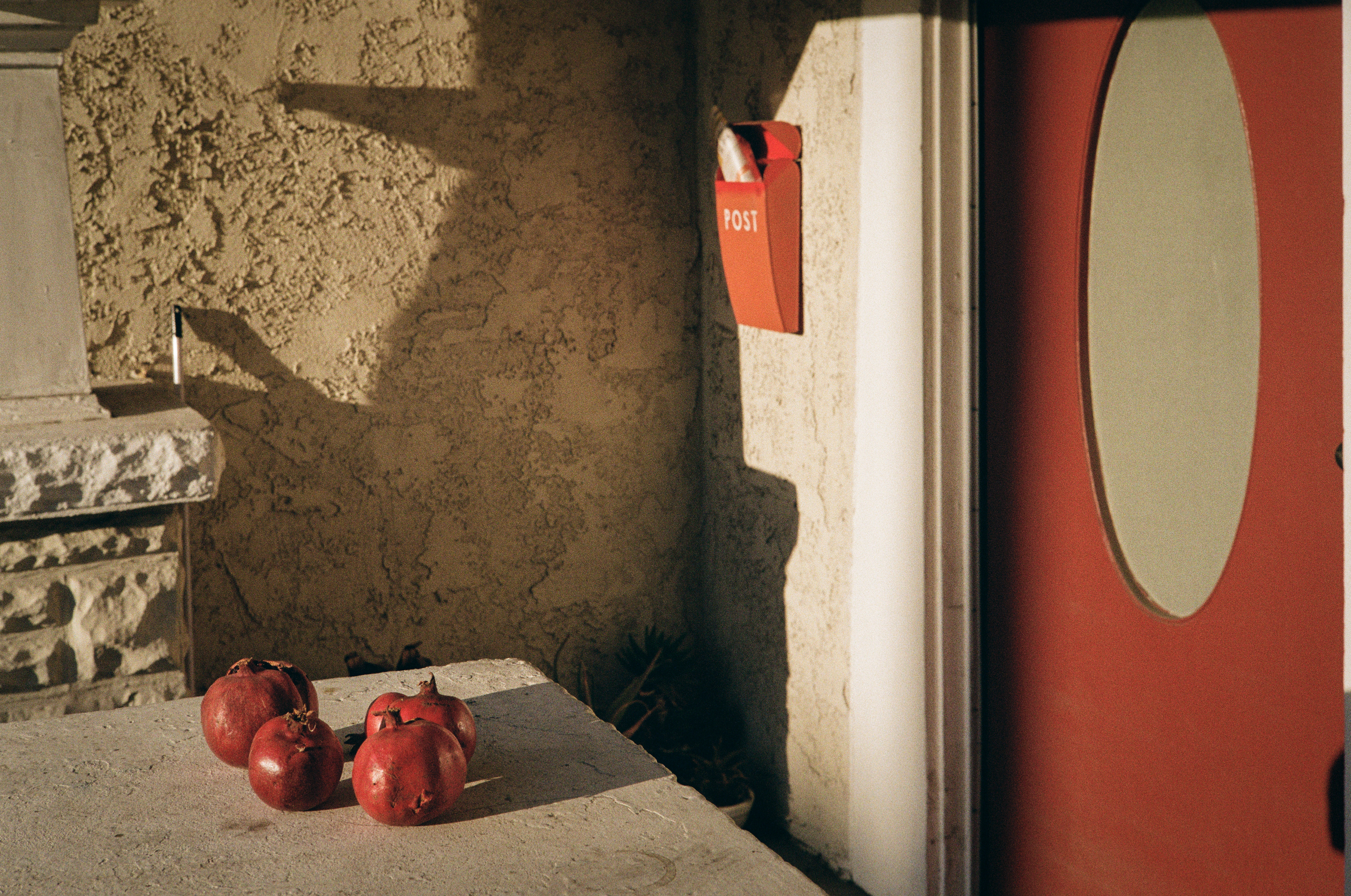Pom Door 2: Pomegranates in West Adams. Kodak Gold 200, 35mm. September, 2022 - Los Angeles, CA - Photo by Aaron Guy Leroux