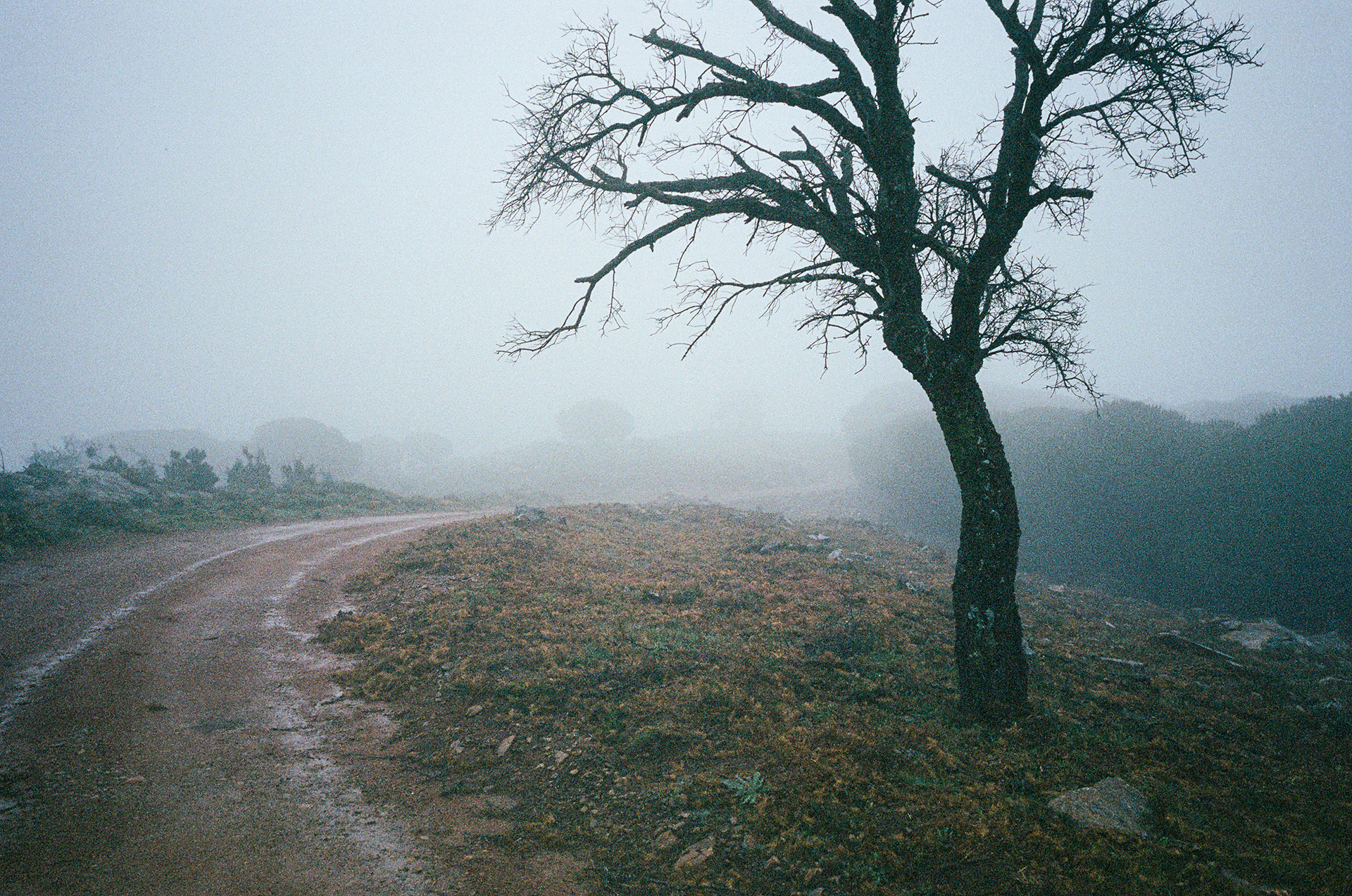 Desolation - A hazy, wet day on the trail. Photo by Aaron Guy Leroux - March 2024 - Castillo de Castellar, Spain