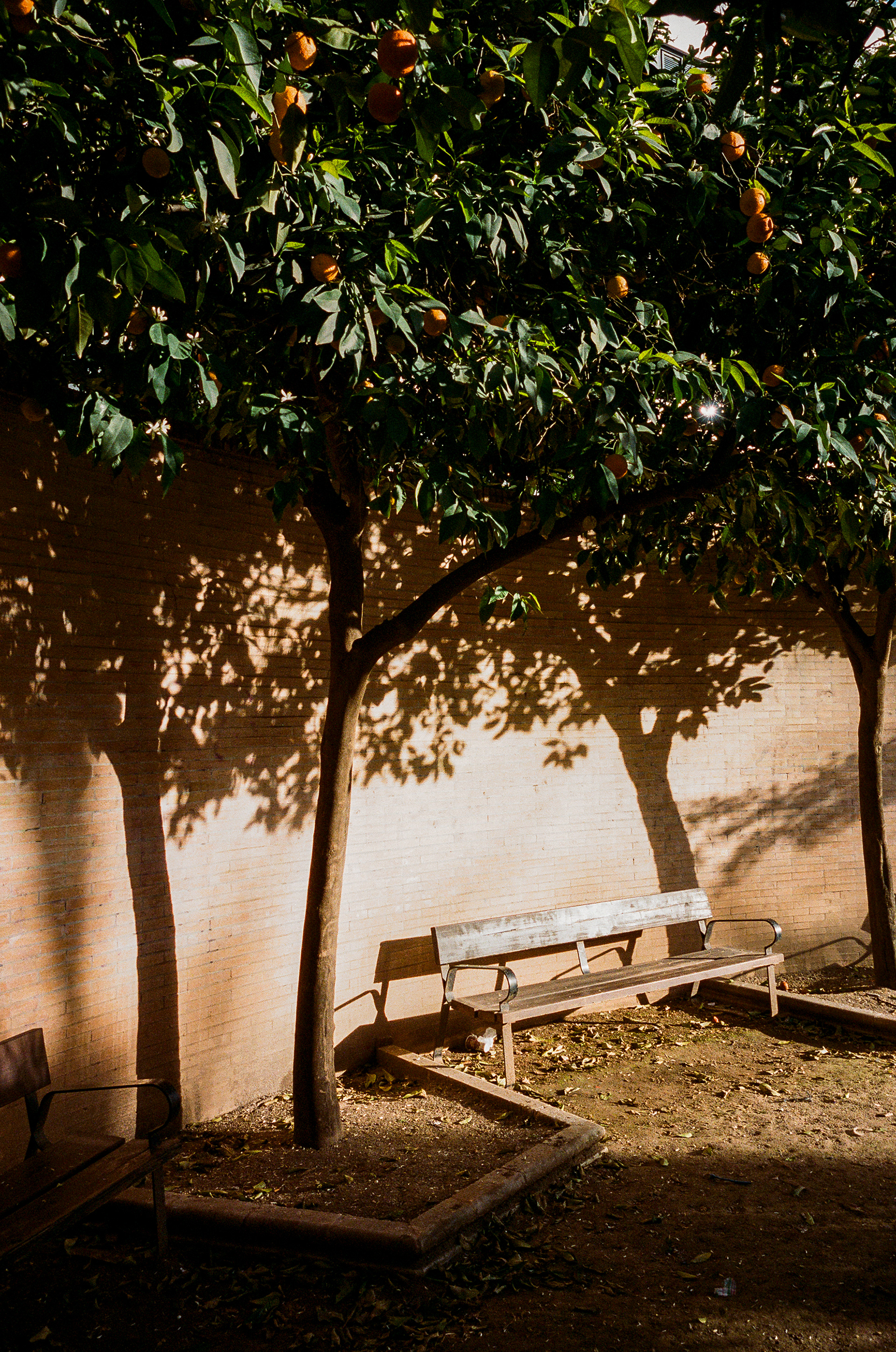 Parque Federico García Lorca -Parque Federico García Lorca in Granada. Adorned with sculpture, fountains, and orange trees, the park appeared to be a vibrant character in the lives of the people of Granada. Photo by - Aaron Guy Leroux - April, 2024 - Granada, Spain