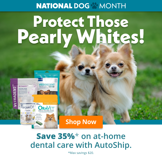 Banner para Emails Publicitários