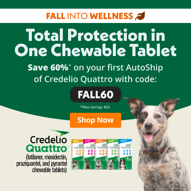 Banner para Emails Publicitários