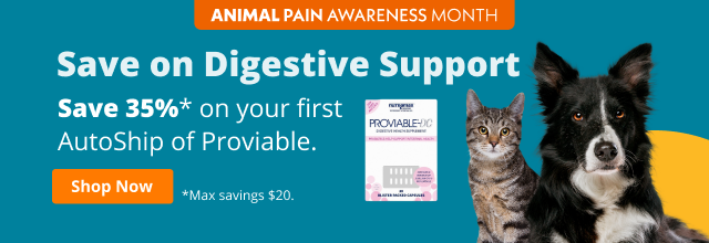 Banner para Emails Publicitários