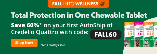 Banner para Emails Publicitários