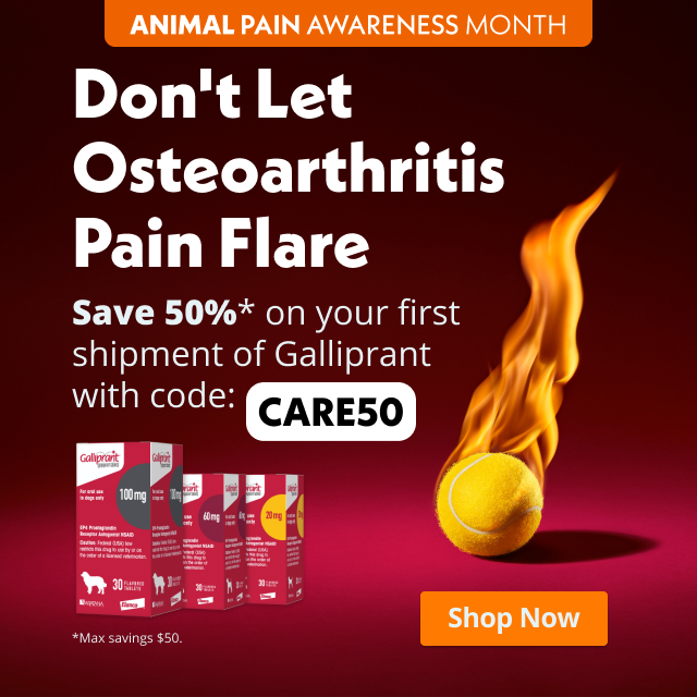 Banner para Emails Publicitários