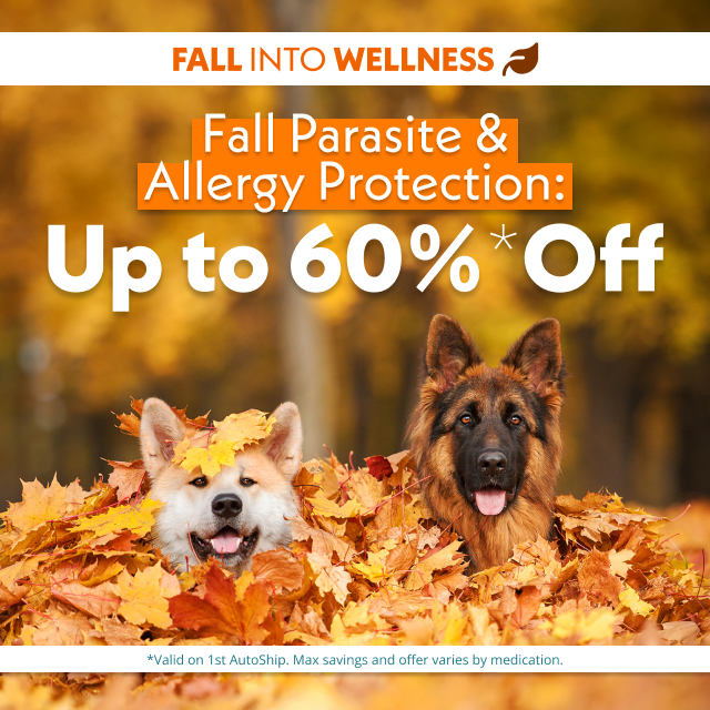 Banner para Emails Publicitários