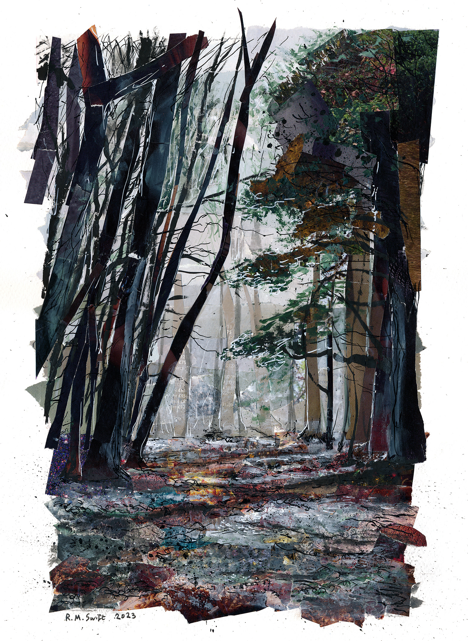 A Walk in the New Forest