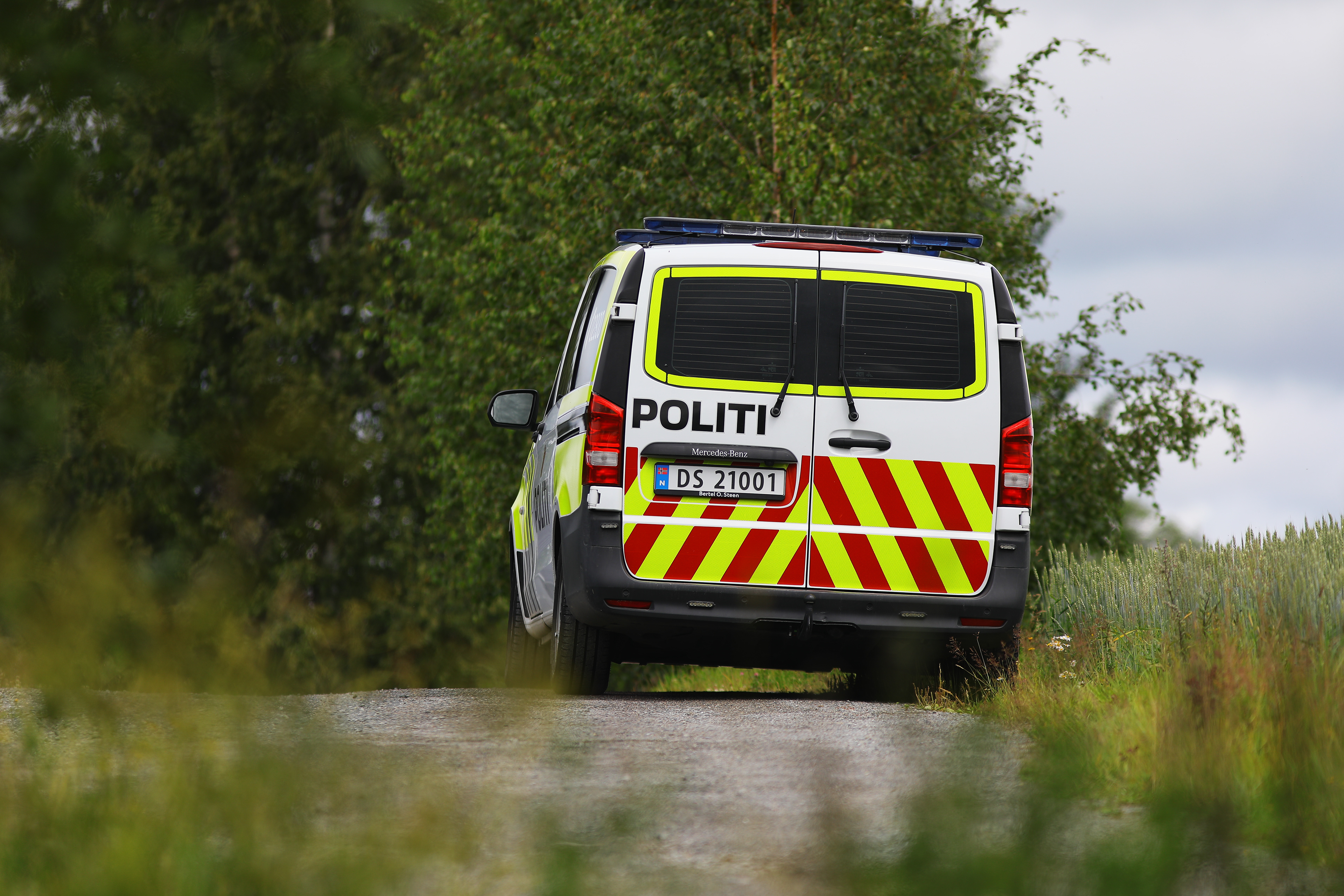 HUNDEANGREP - RINGSAKER