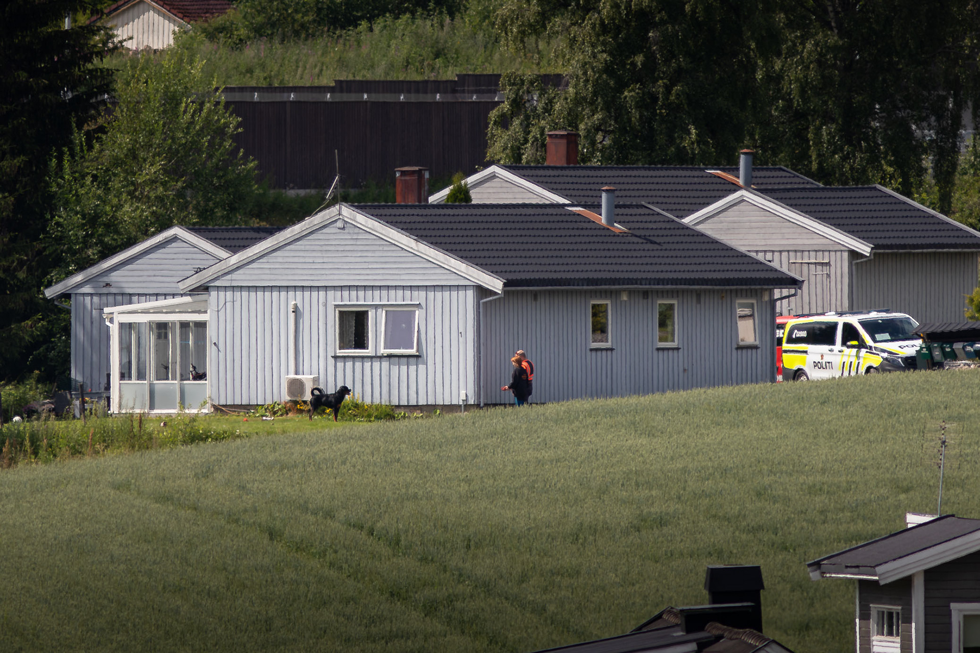 HUNDEANGREP - RINGSAKER