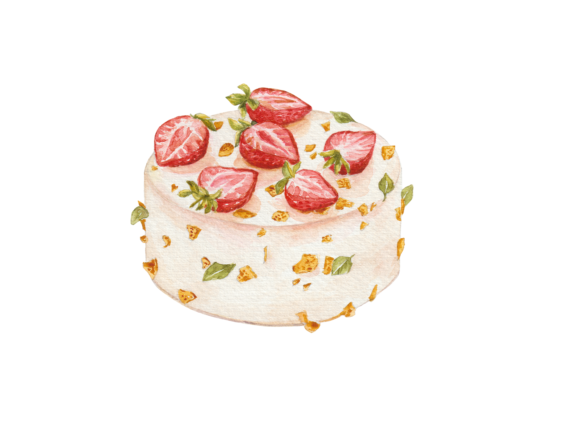 TORT FRAISIER by Krzysztof Rabek