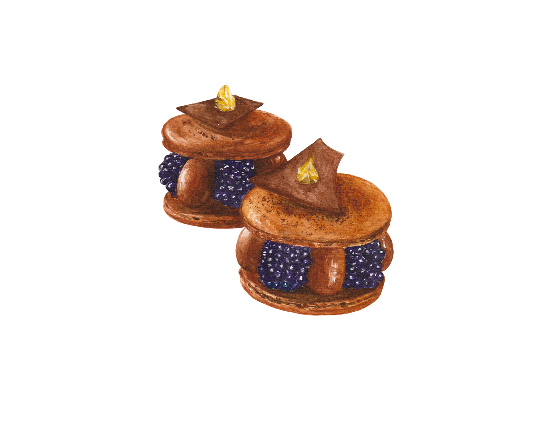 MACA BERRY by Felix Vogel