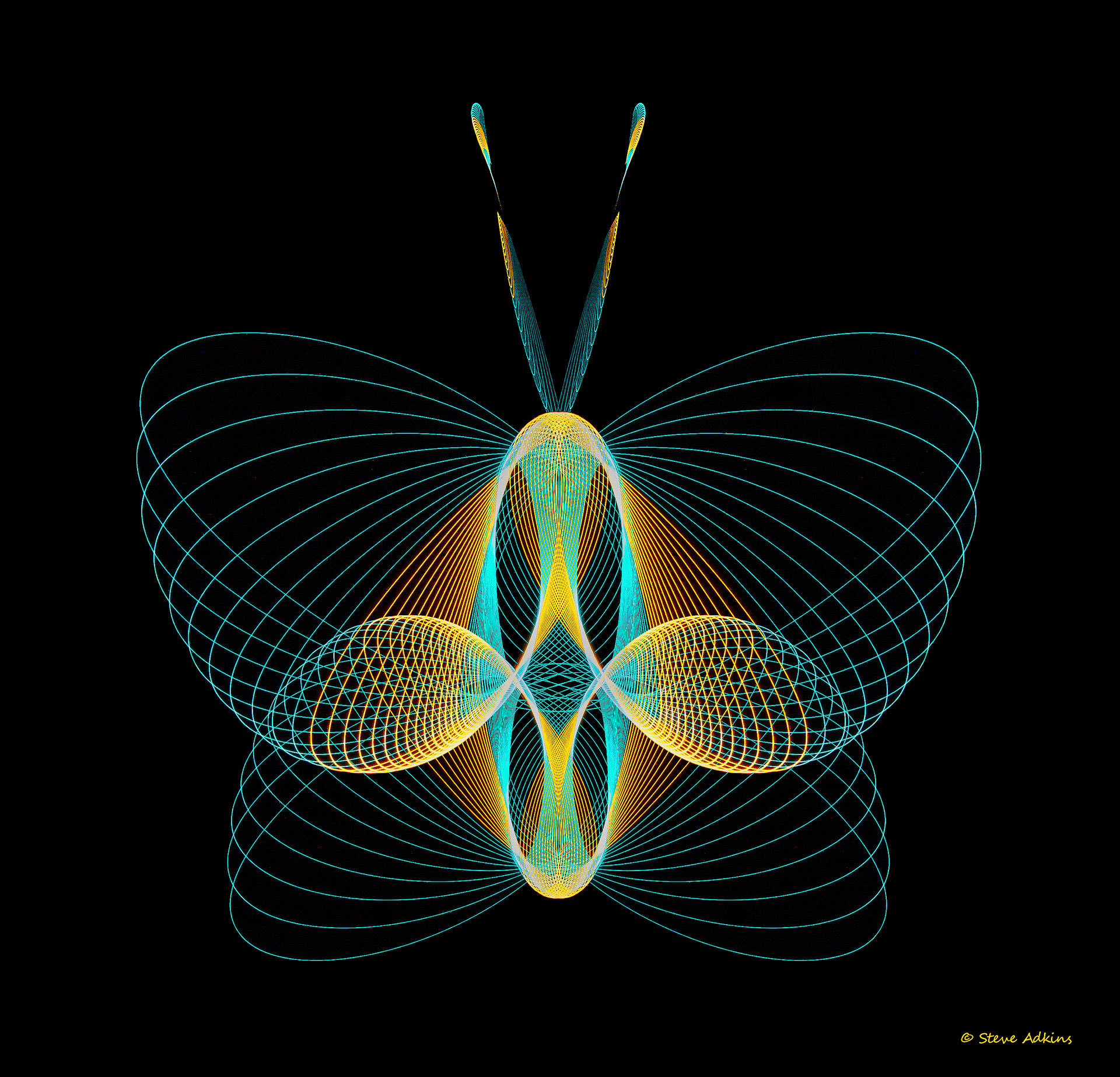 Created with images of physiograms. A long exposeure of the path of a swinging light.