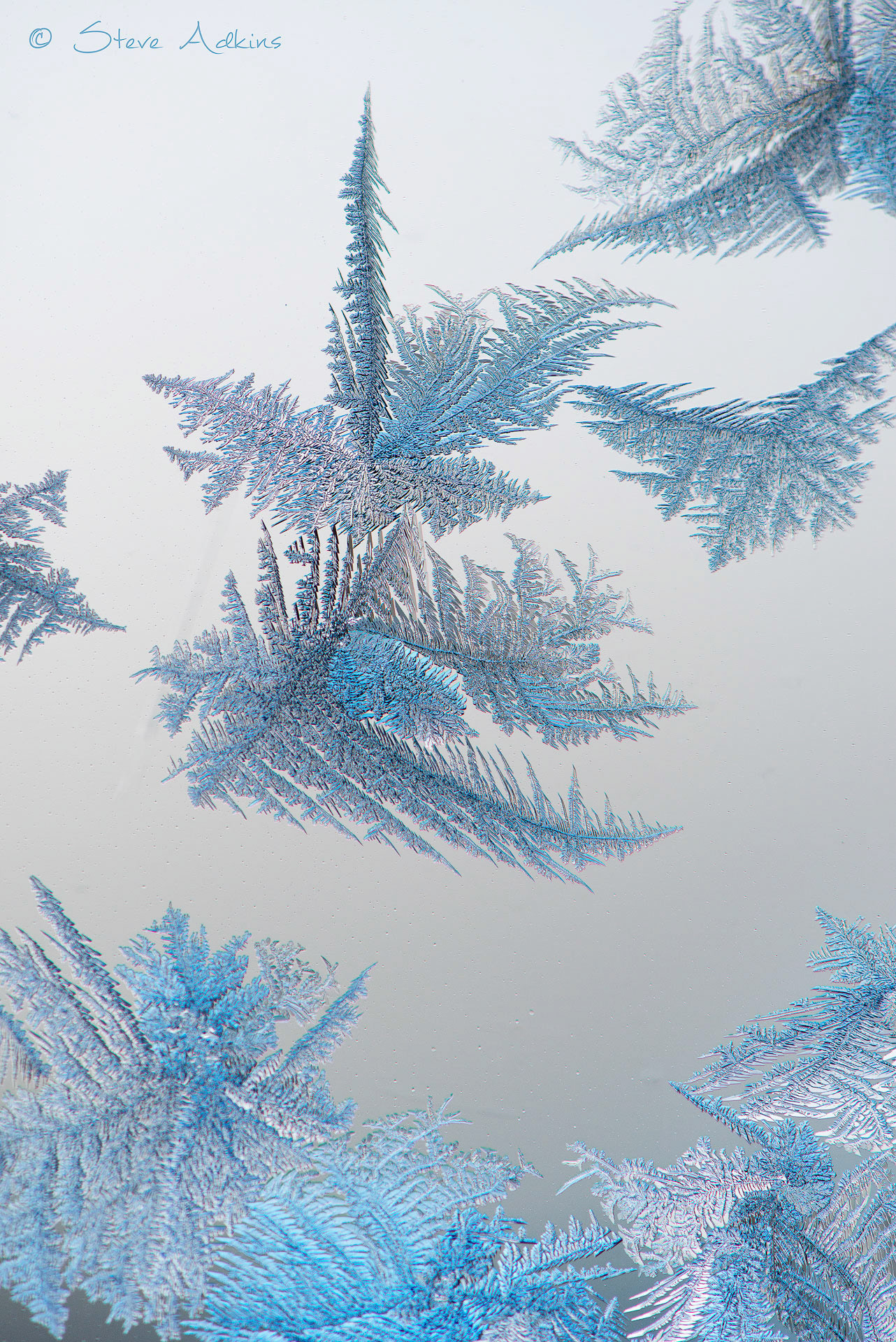 Window frost
