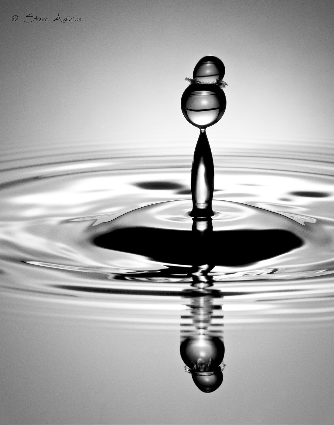 Water drop collision stopped with flash.