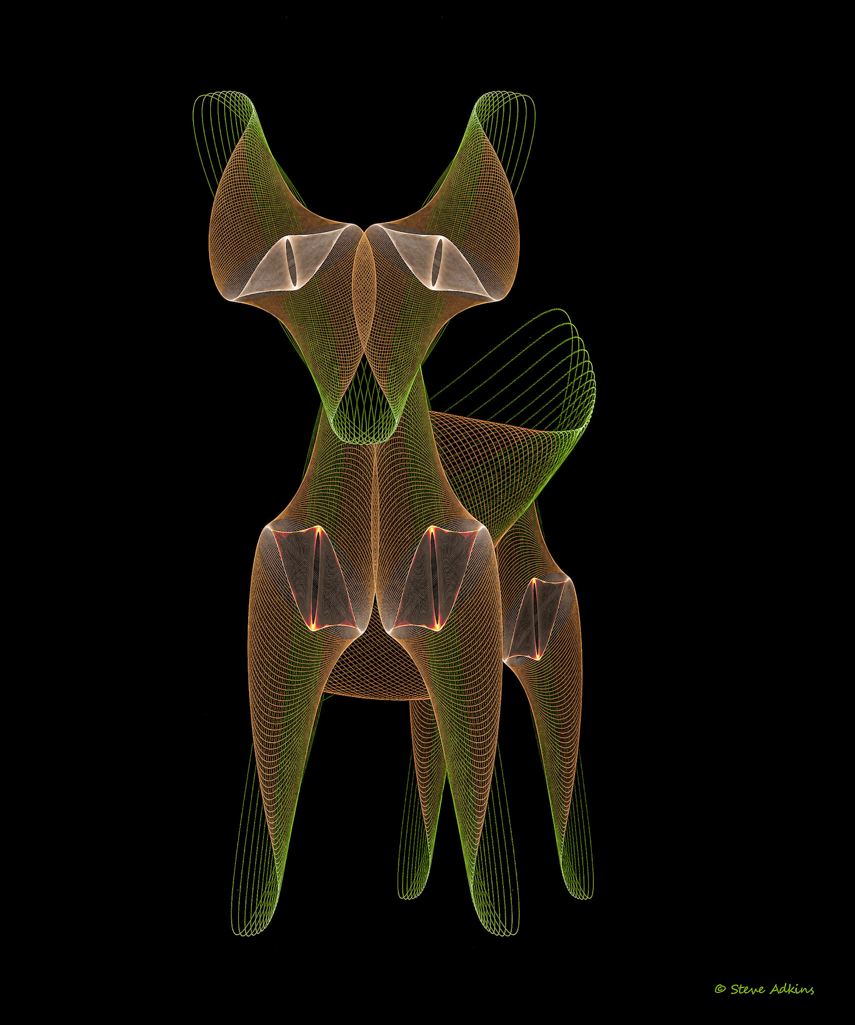 Created with images of physiograms. A long exposeure of the path of a swinging light. This is a composite of images created in Photoshop.