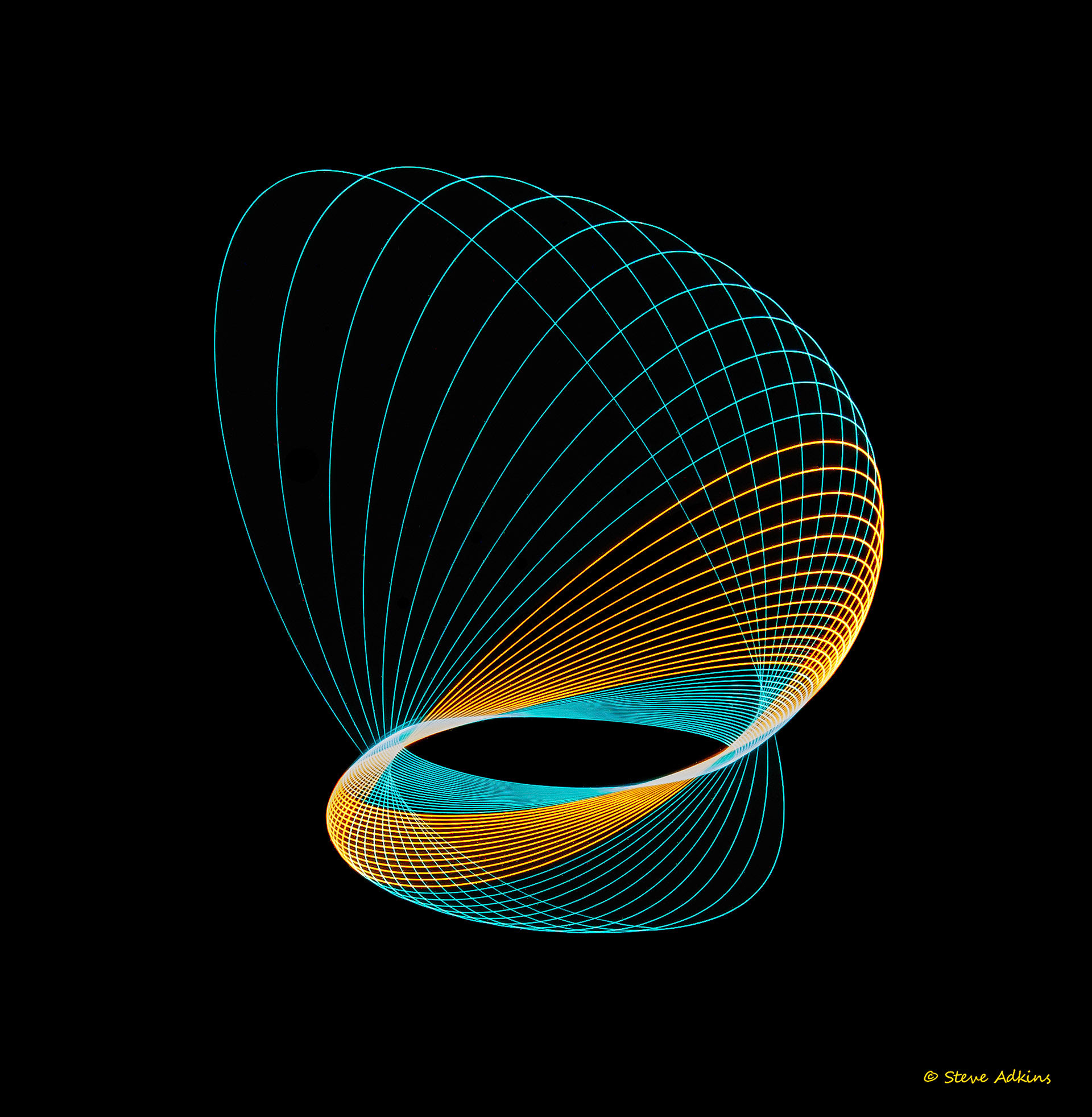 Created with images of physiograms. A long exposeure of the path of a swinging light.