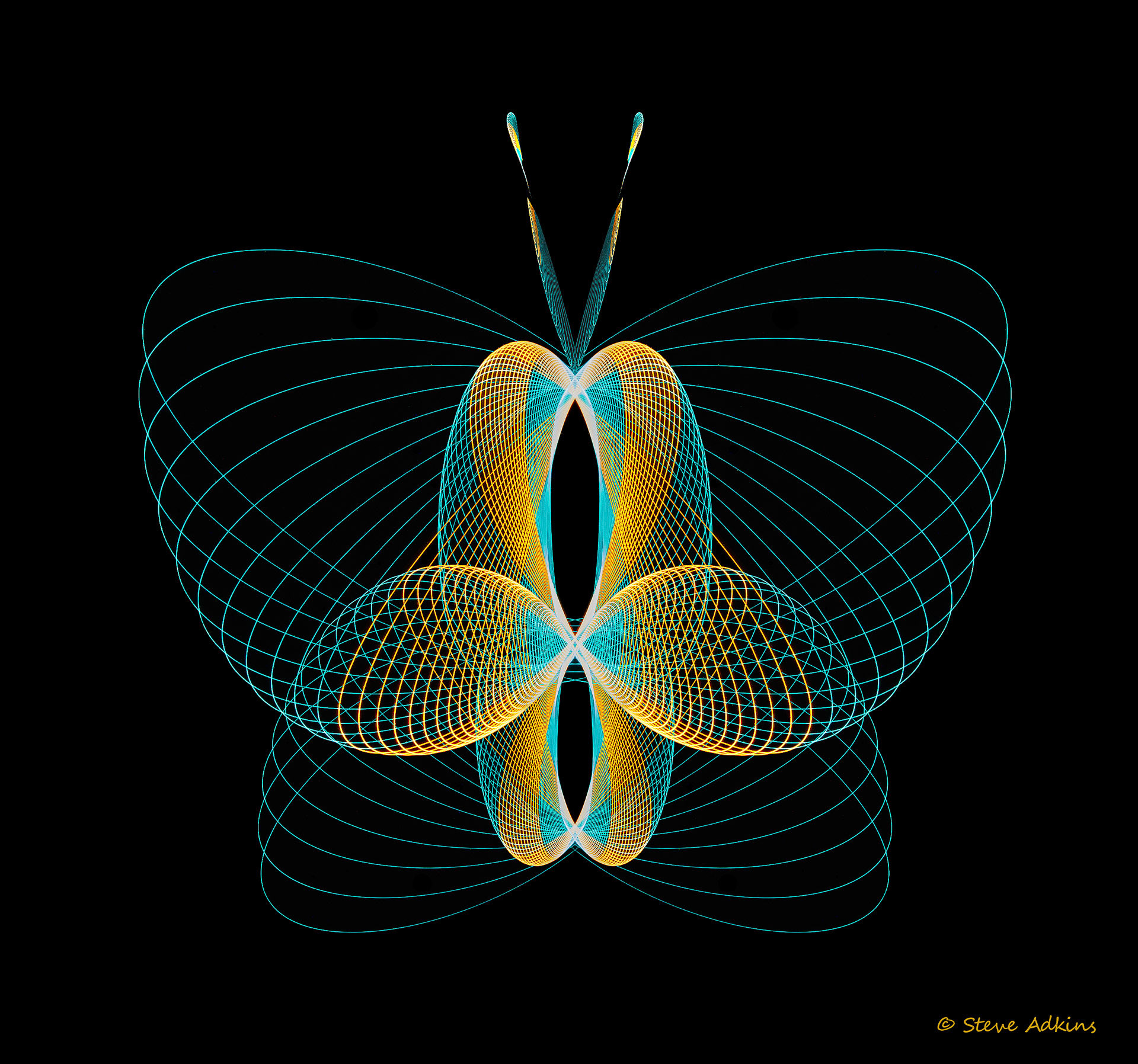 Created with images of physiograms. A long exposeure of the path of a swinging light.