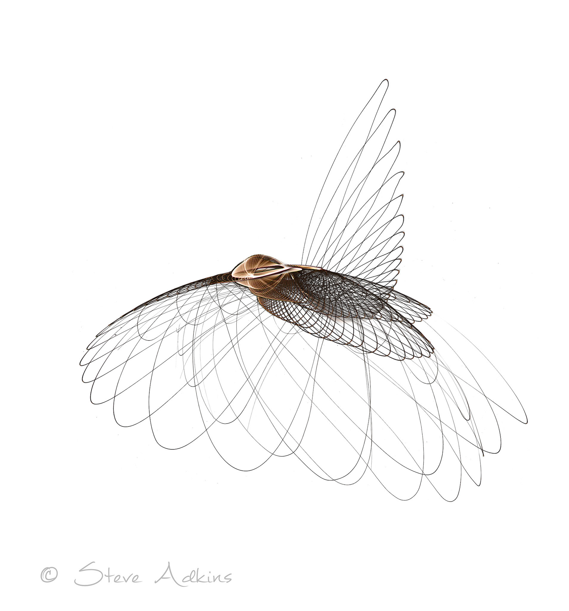 Created with images of physiograms. A long exposeure of the path of a swinging light. This is a composite of three images.