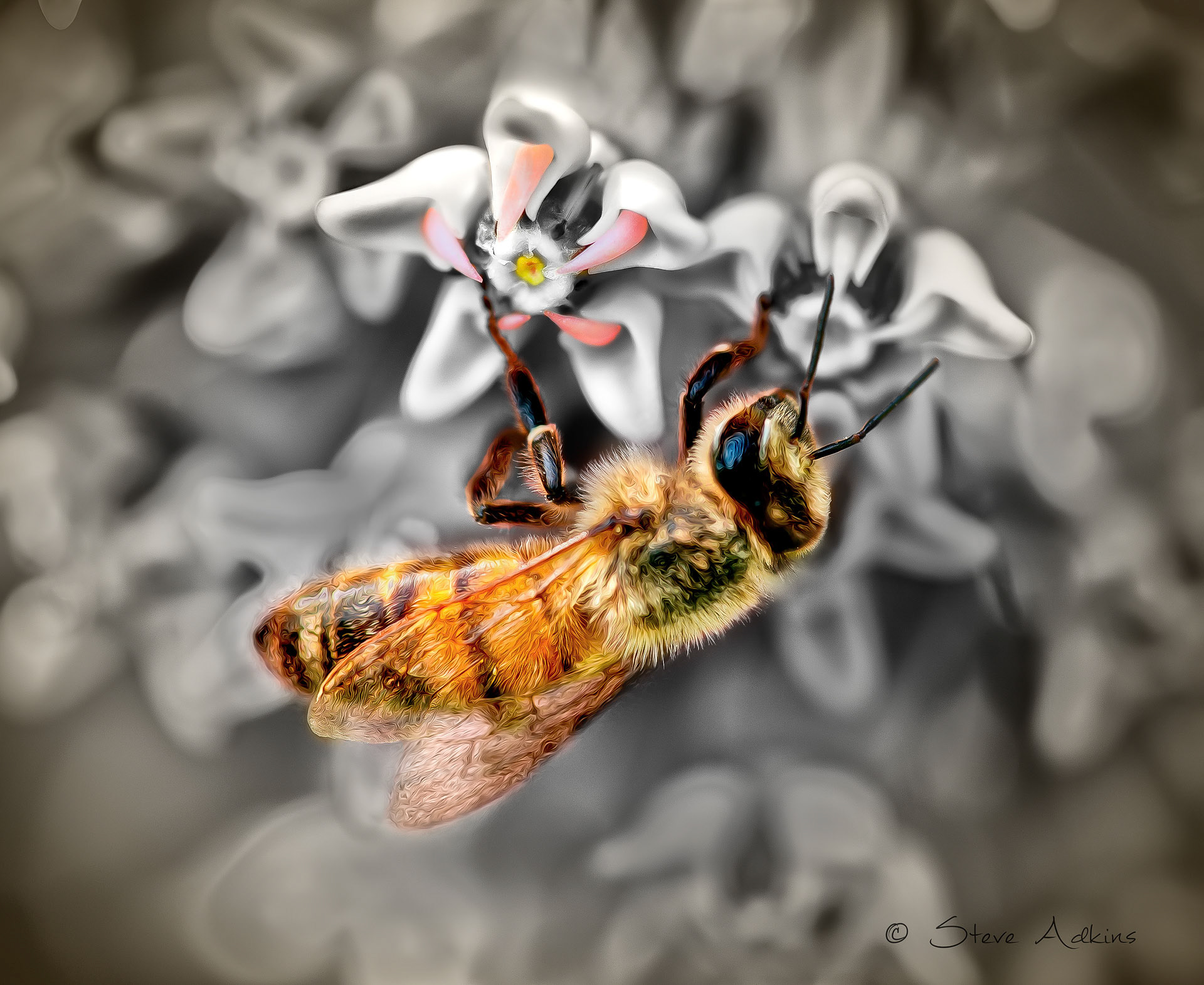 Selective coloring.