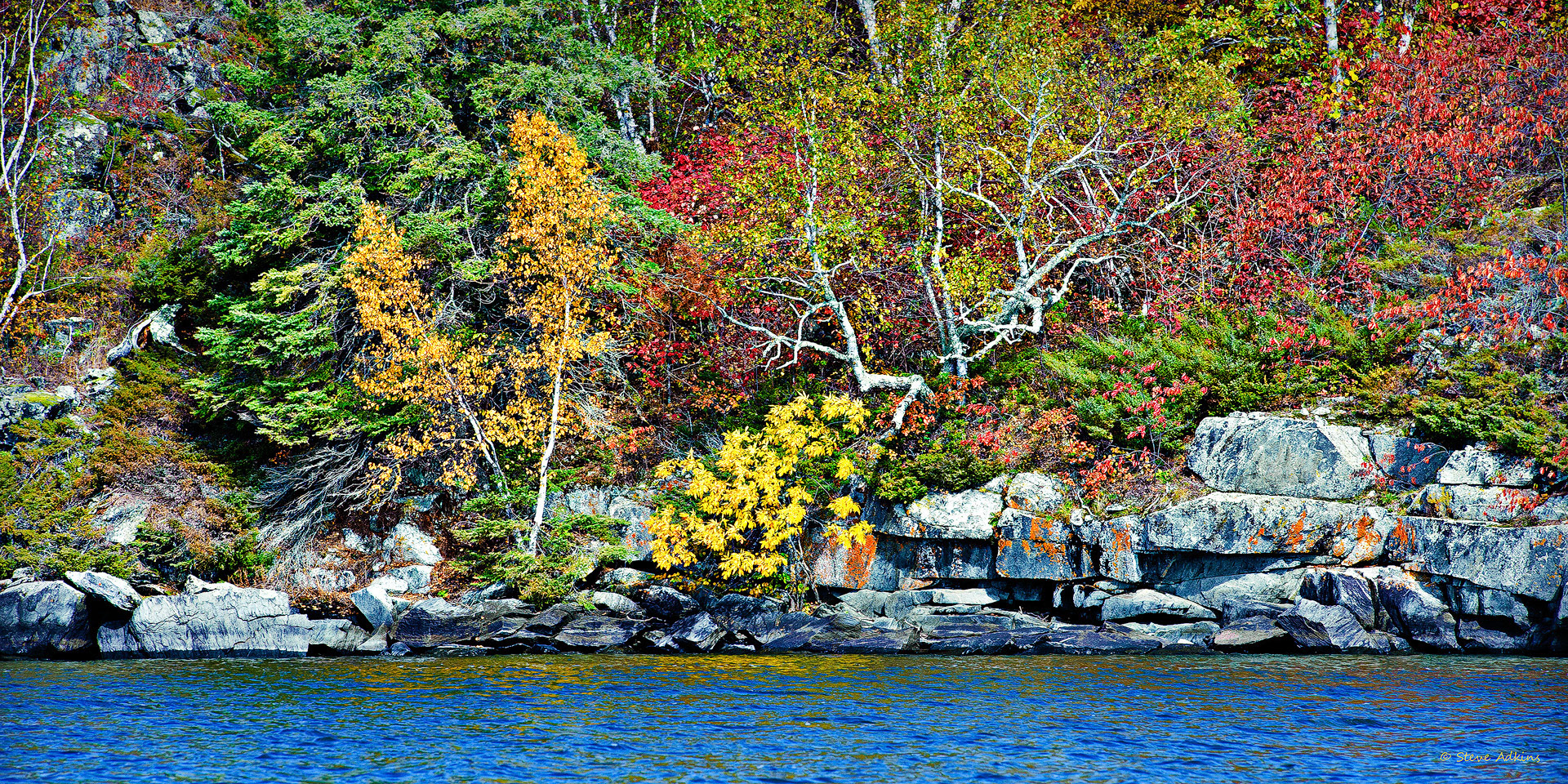 Fall colors.