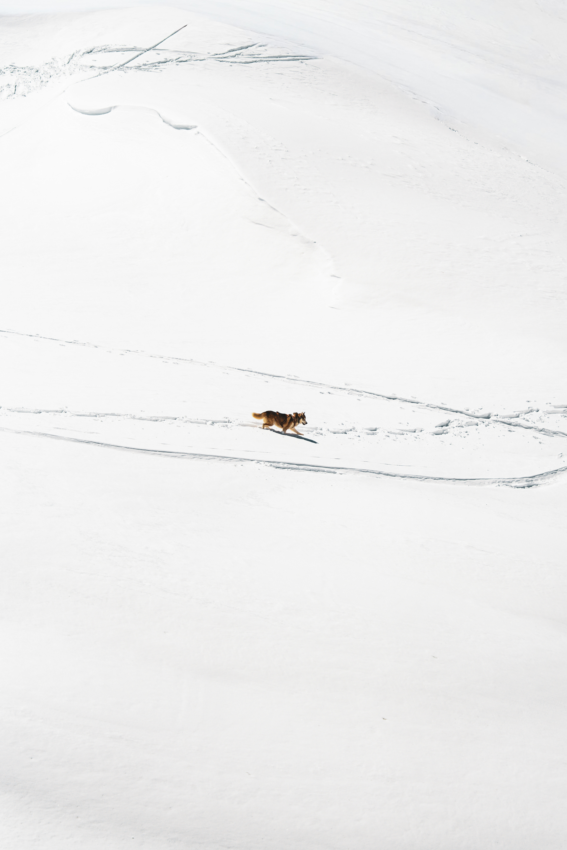 Morzine 2026
