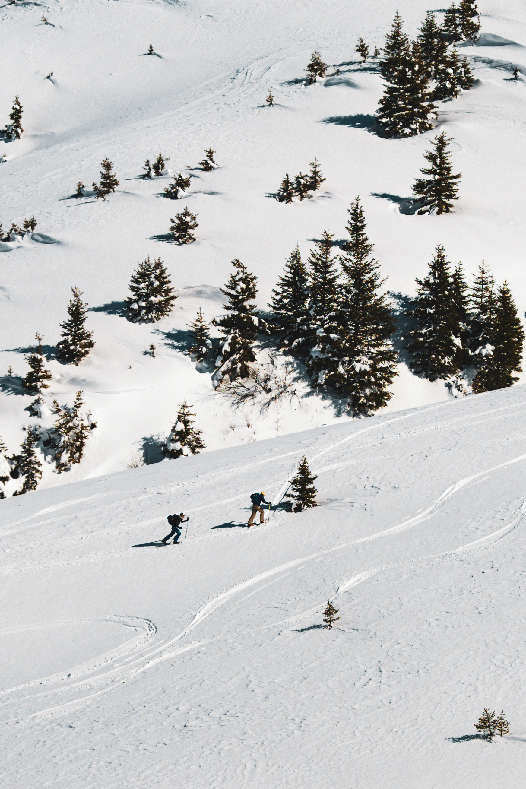 Morzine 2026