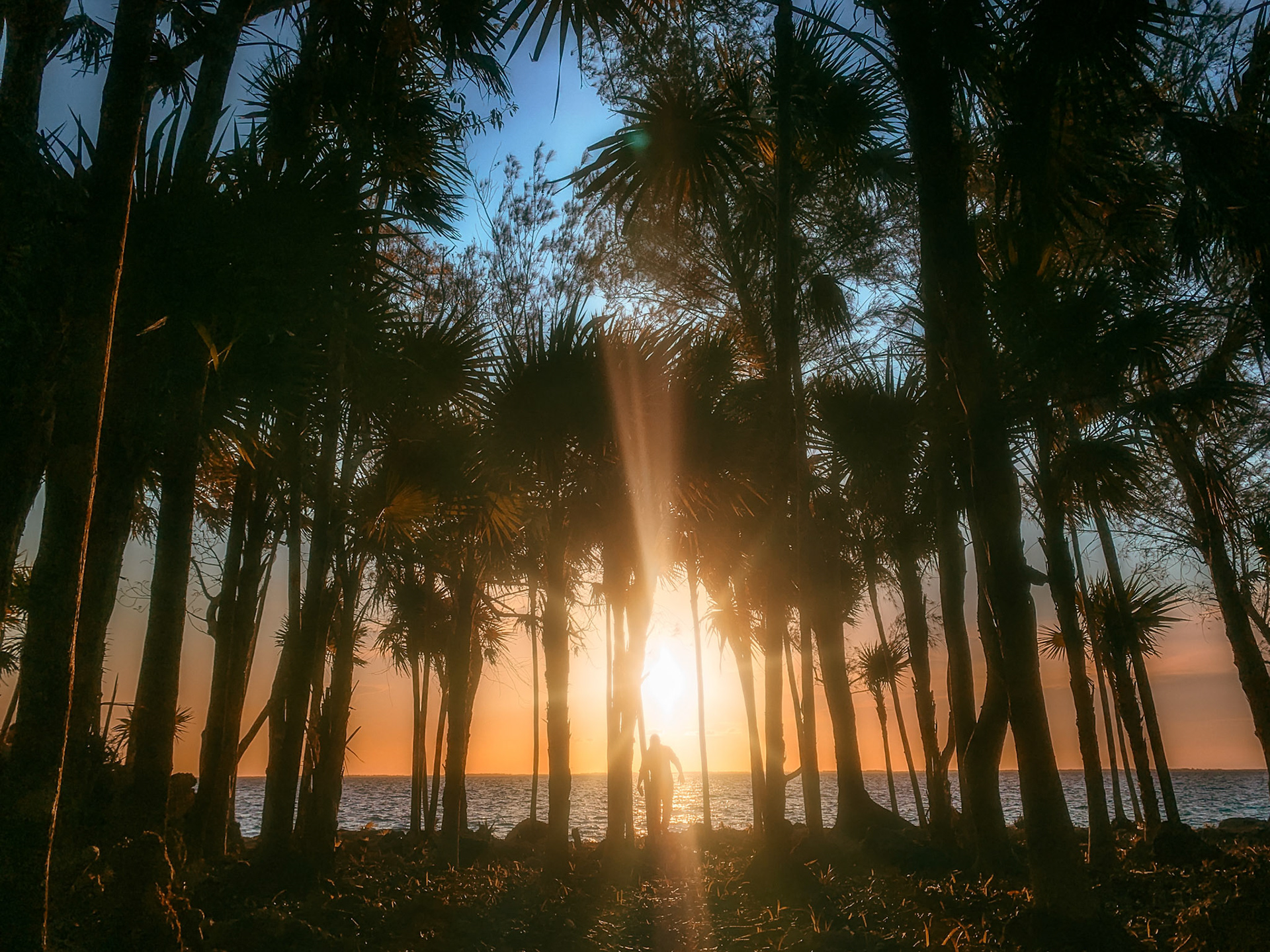 Where the Ciénaga Meets the Sea