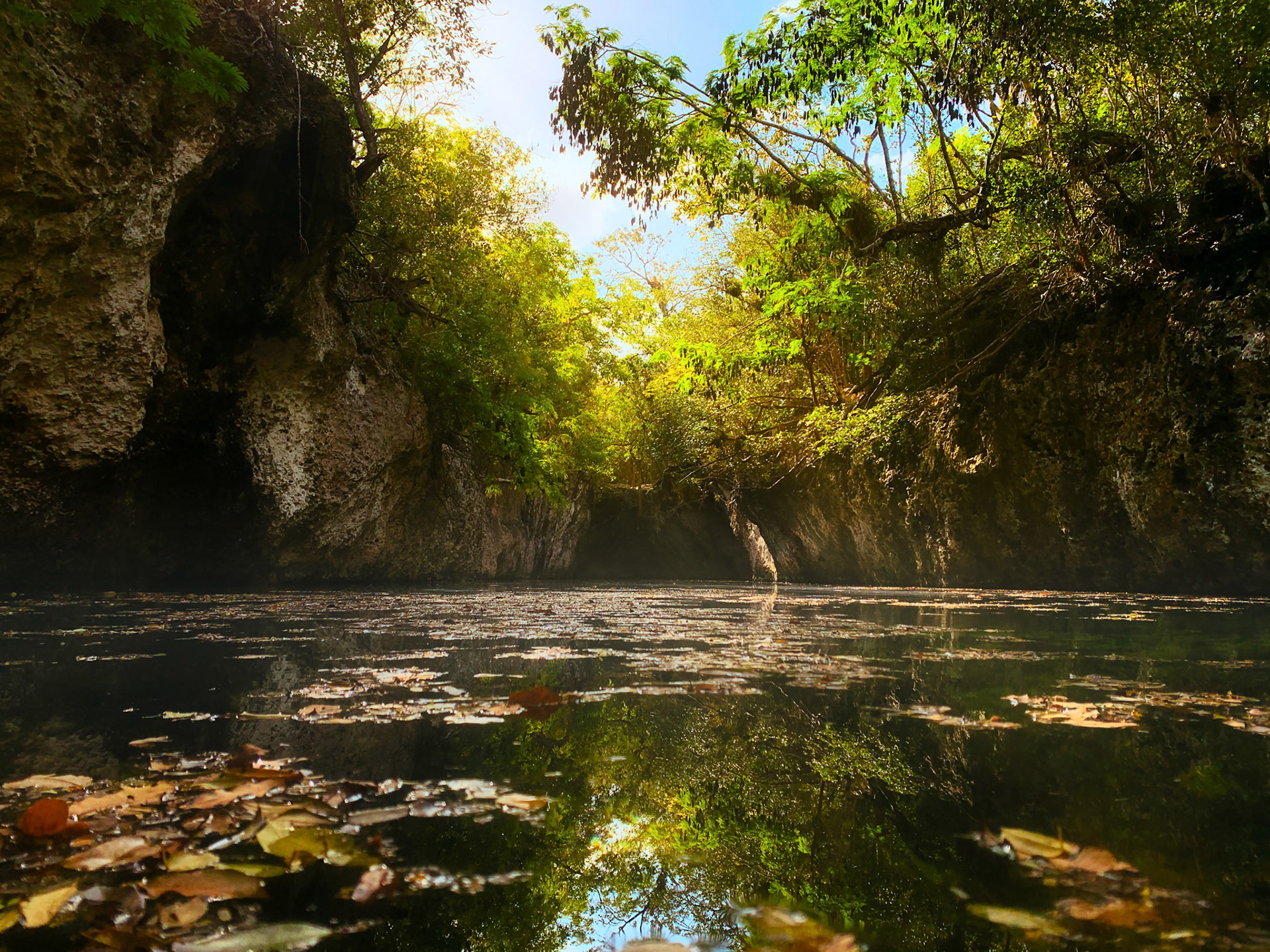 Echoes of the Cenote Enigma de Las Rocas