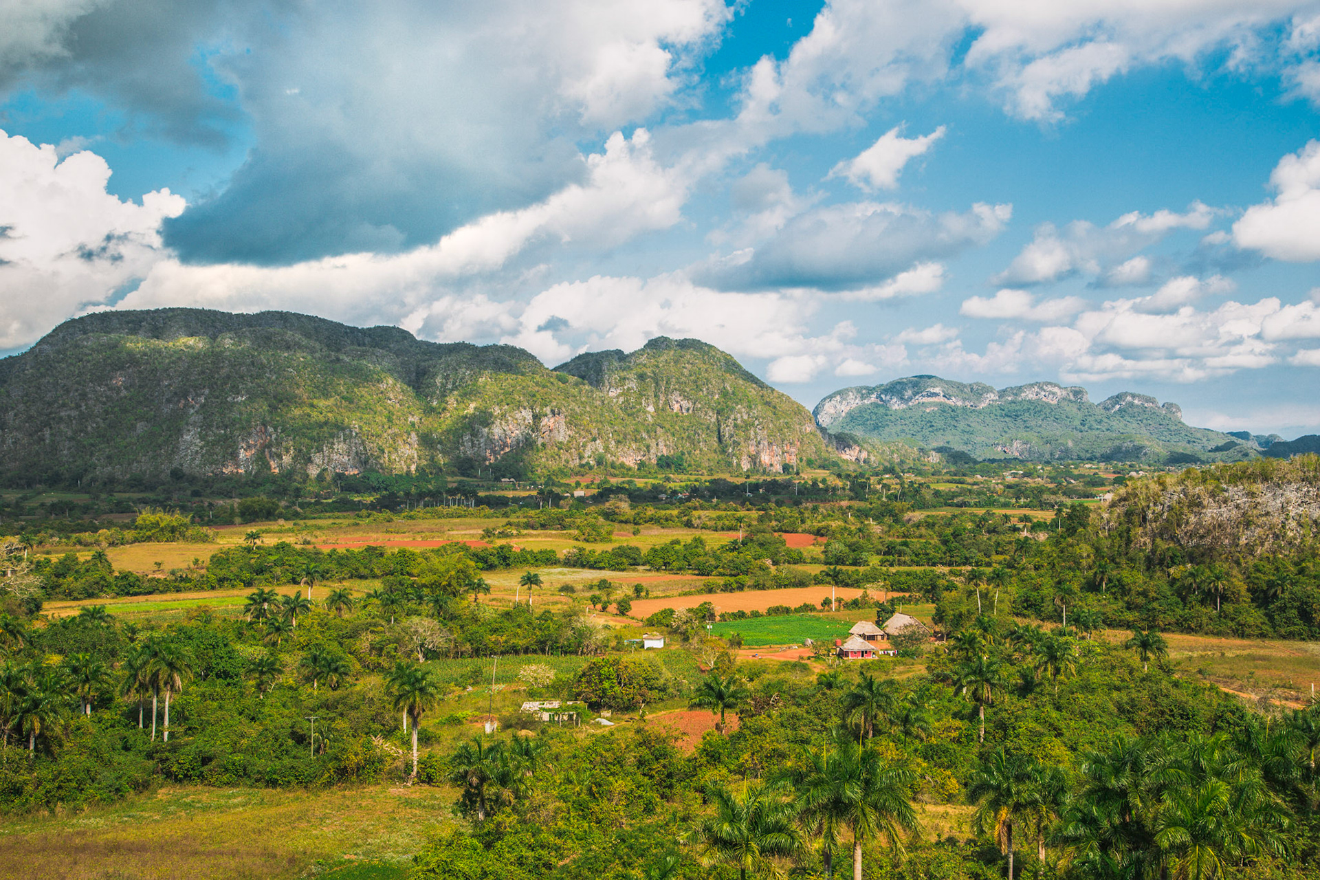 Serenity in The Heart of Viñales Valley