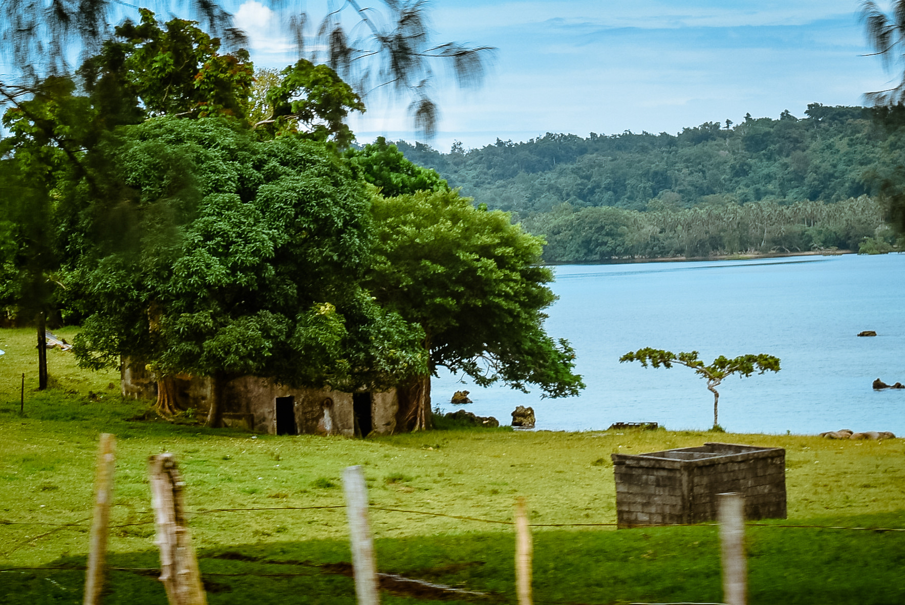Nature takes back its right over ruins (Santo)