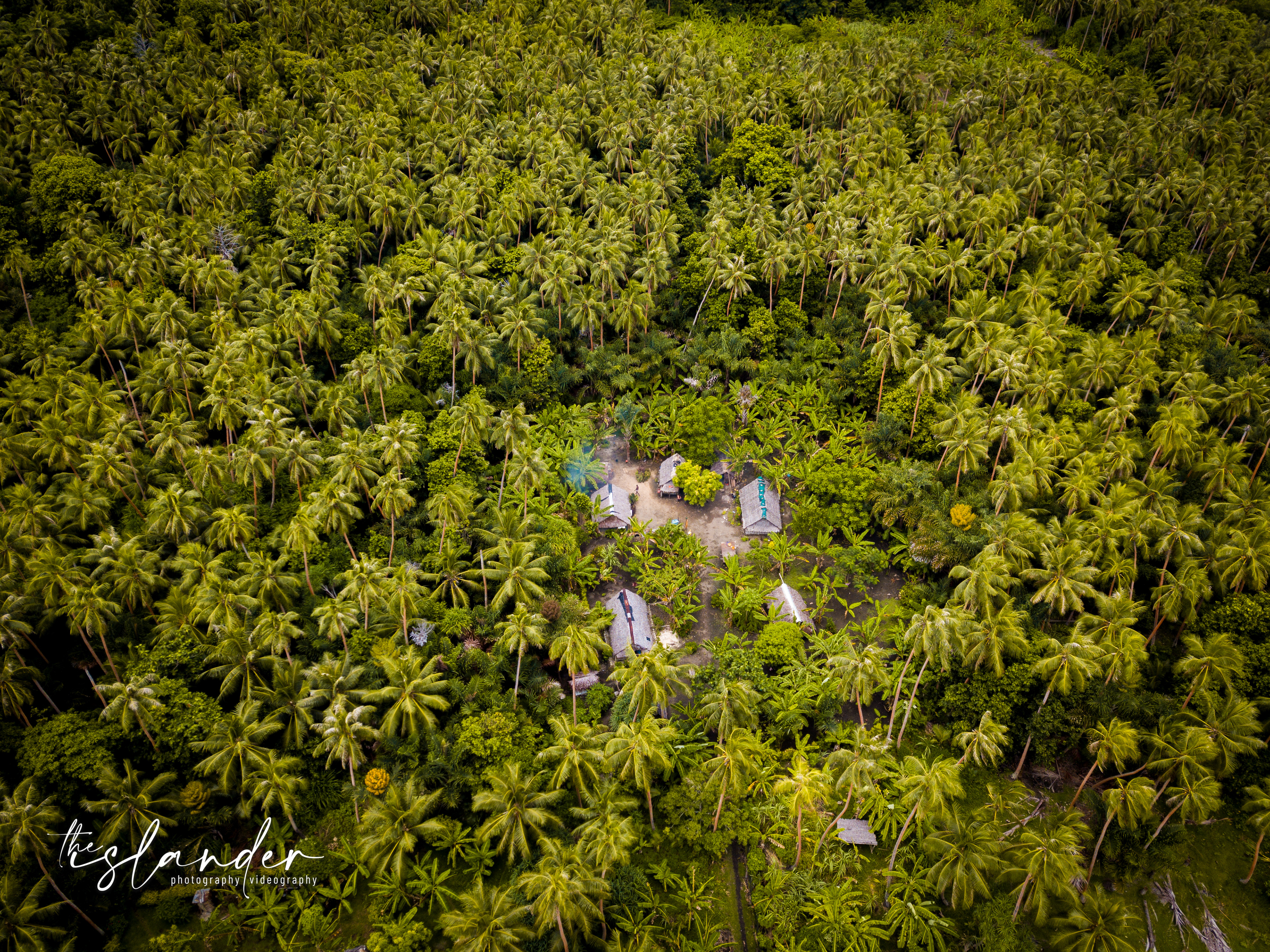 Imagine living surrounded by tall coconut trees... 
