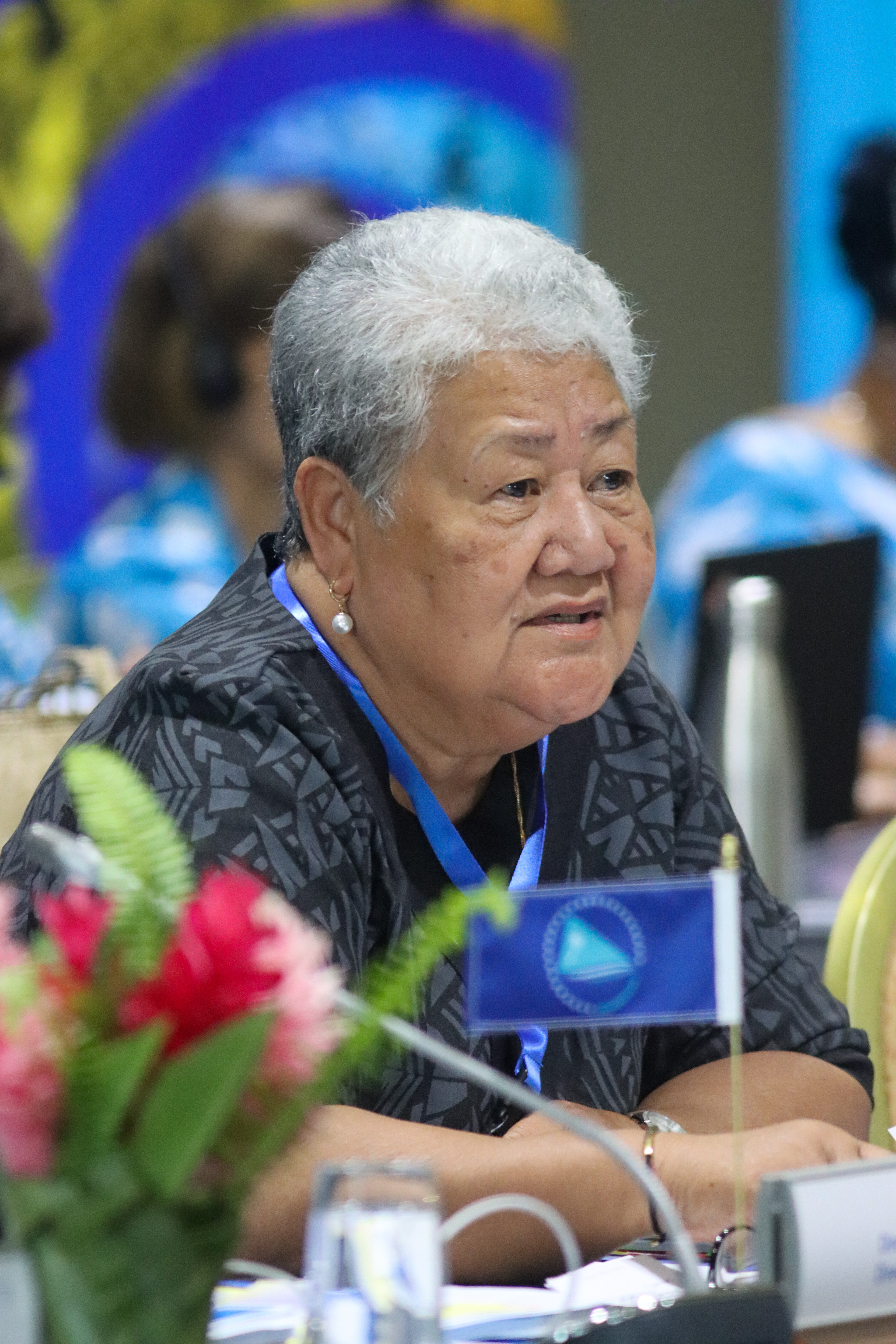 52nd Meeting of the Committee of Representatives of Governments and Administrations and Special thematic session of the 12th Conference