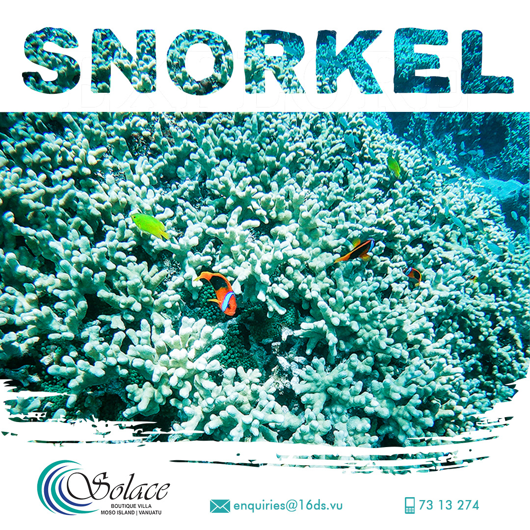 Sponsored ads on Facebook (Photo & Design)