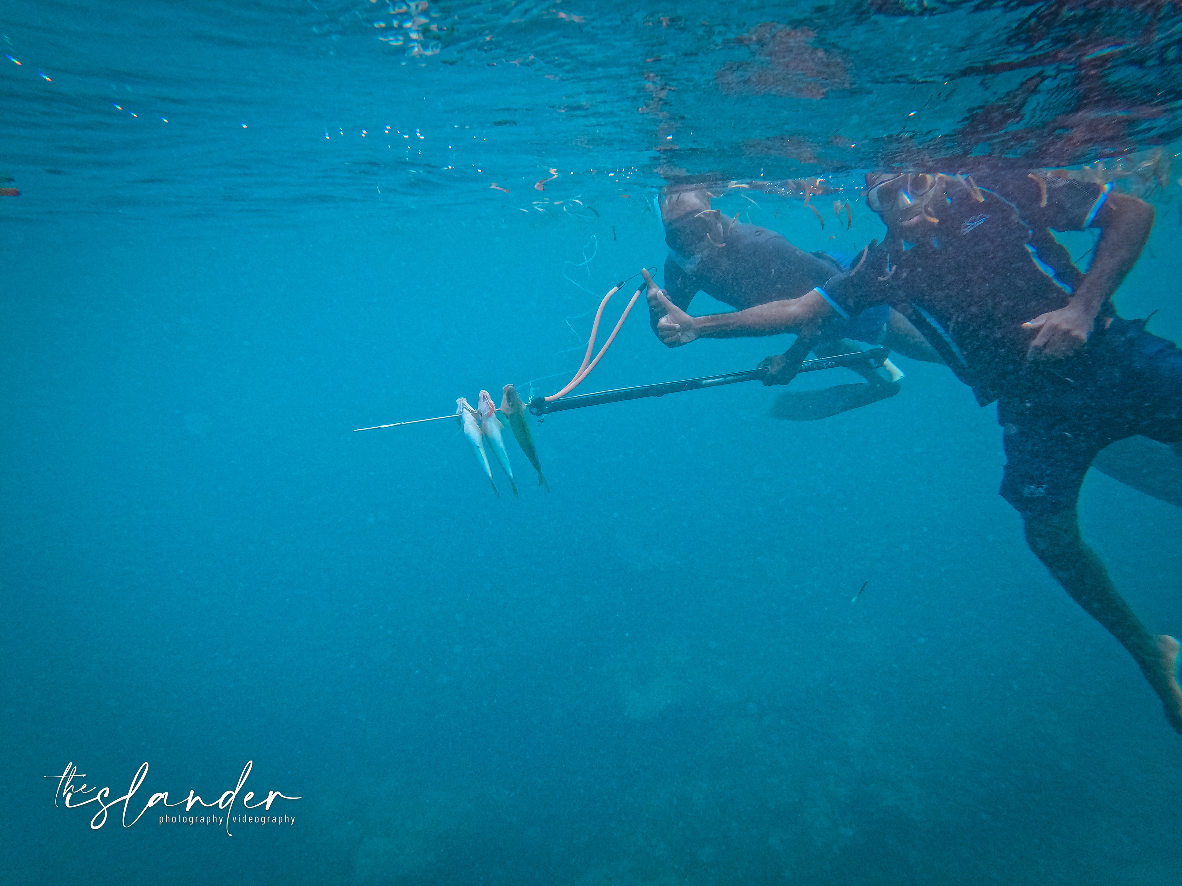 Diving for some fish.. For the Sunday Laplap