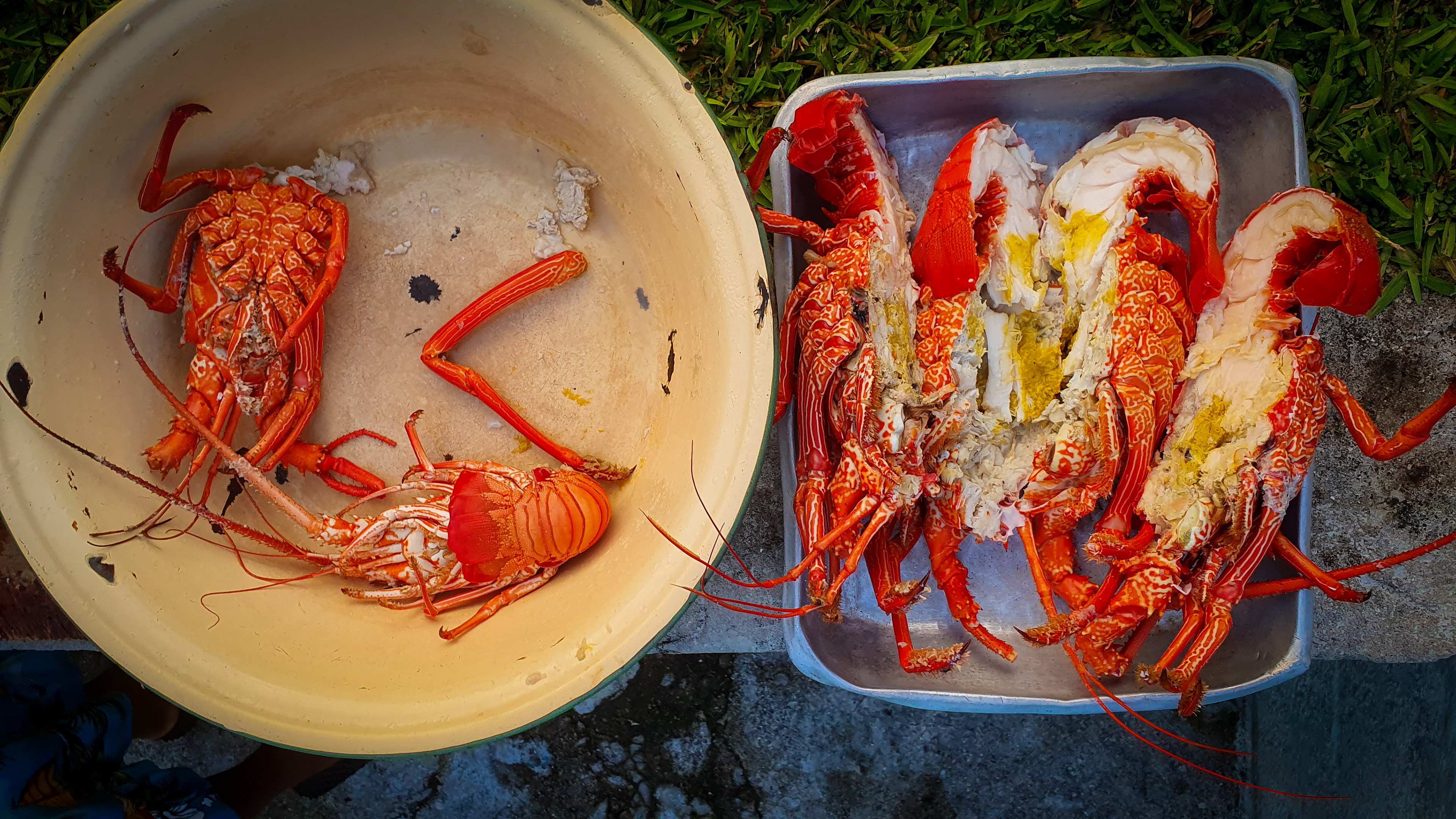 Preparing our catch from the previous night