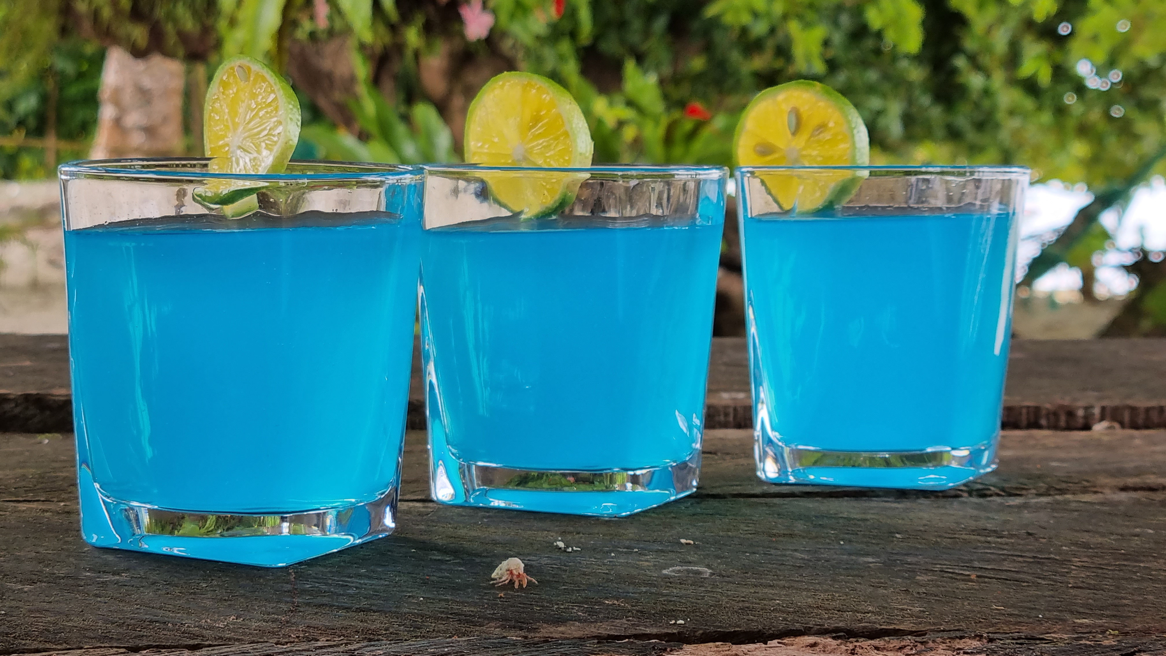 Island Cocktail with our little friend "Nakato"