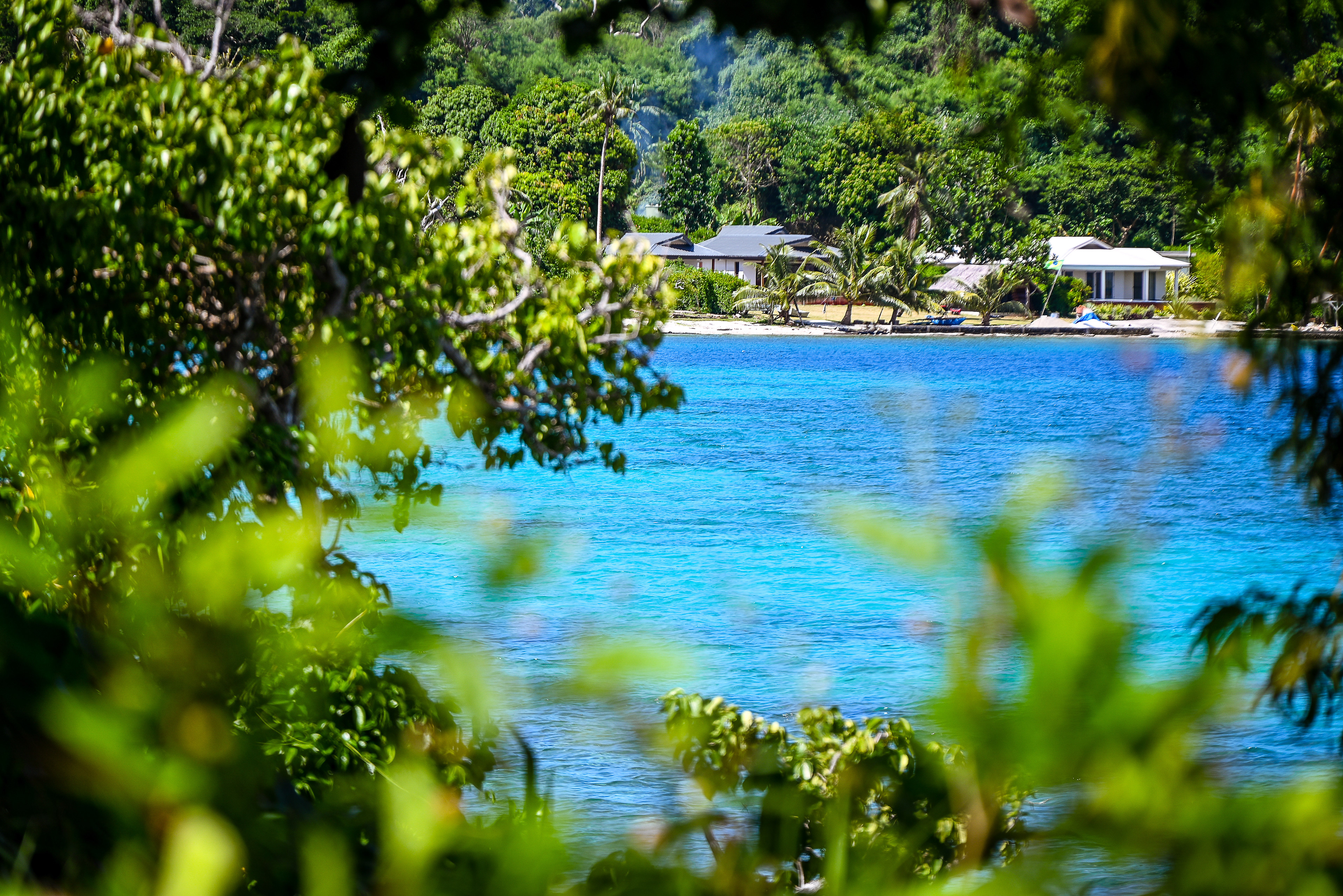 Watermark on Moso - The Sorento