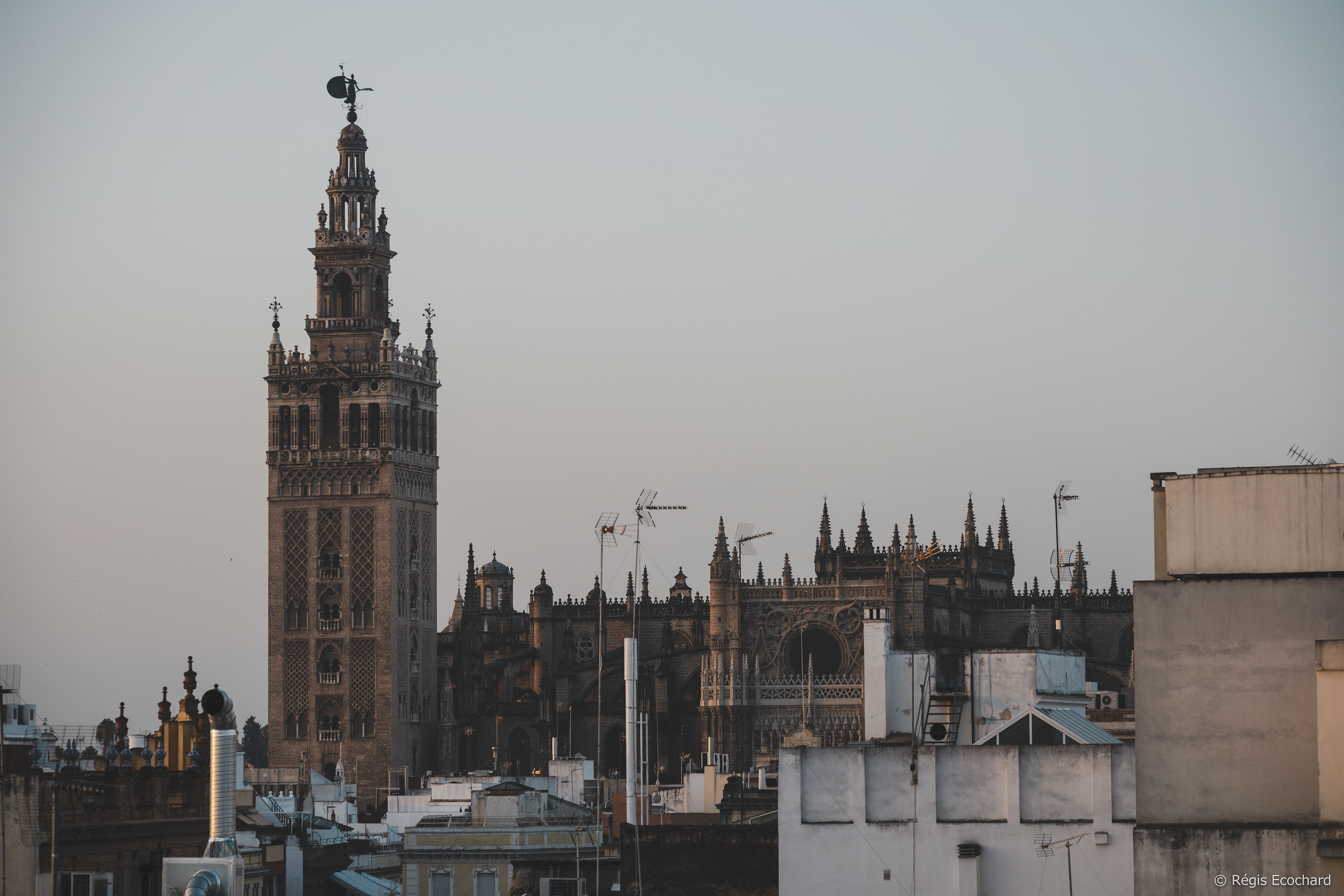 CATHEDRALE DE SEVILLE