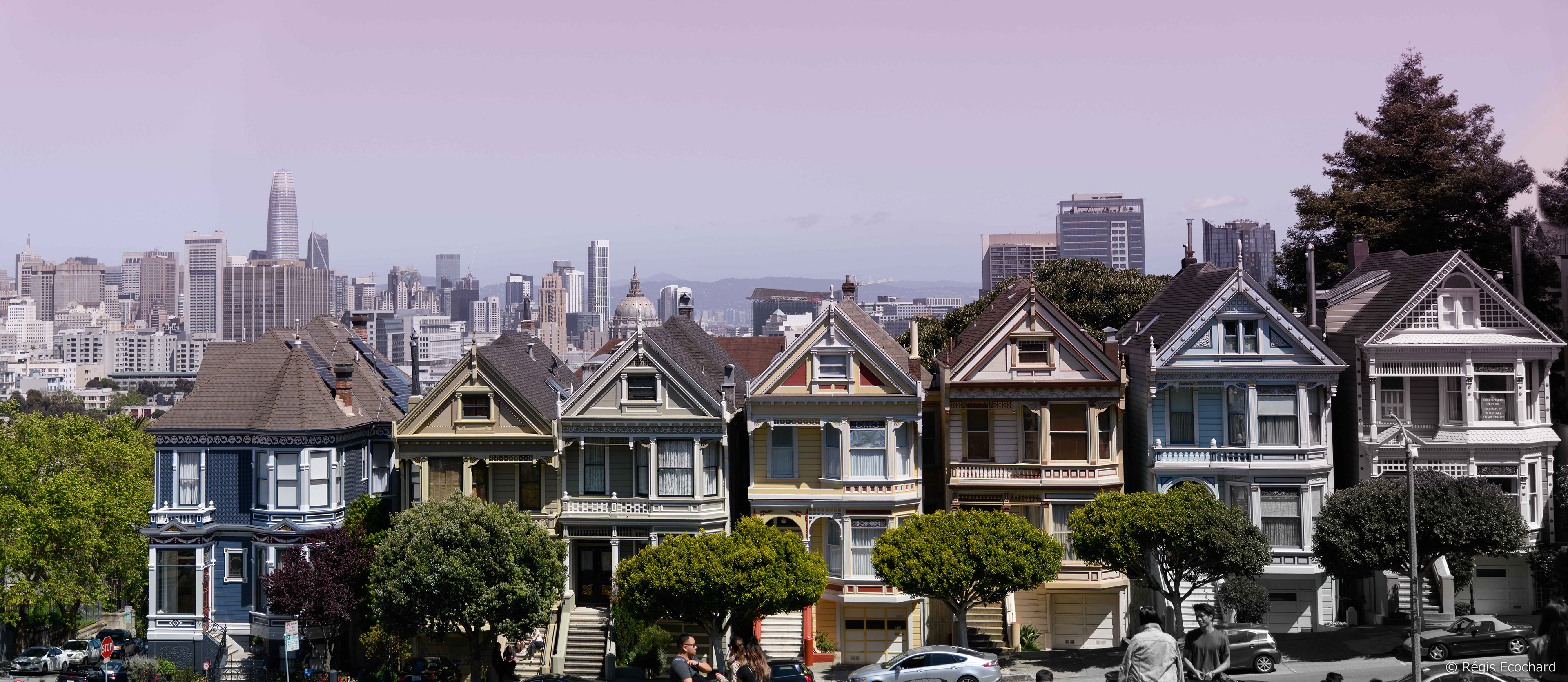 Painted Ladies