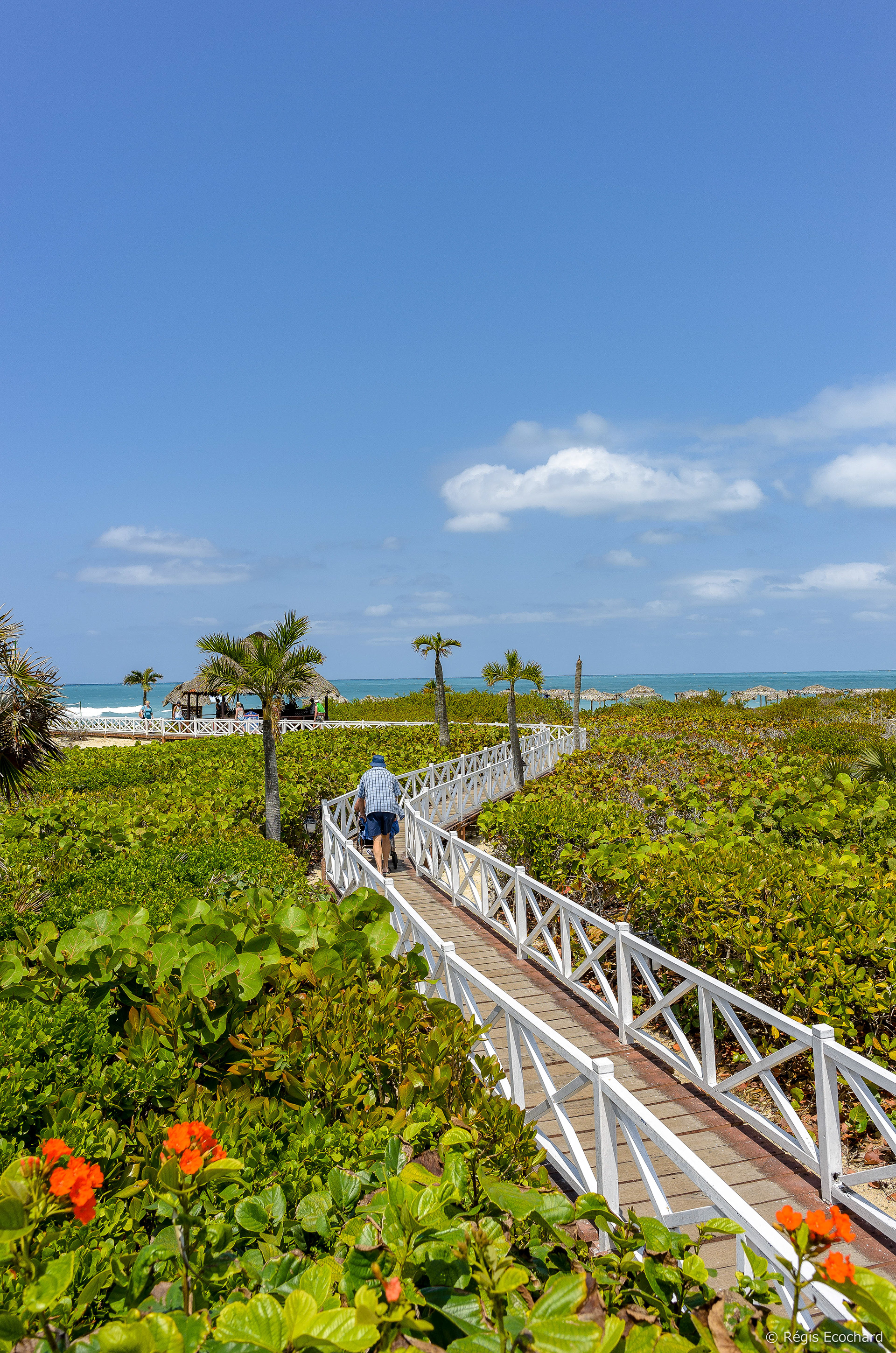 Cayo Coco