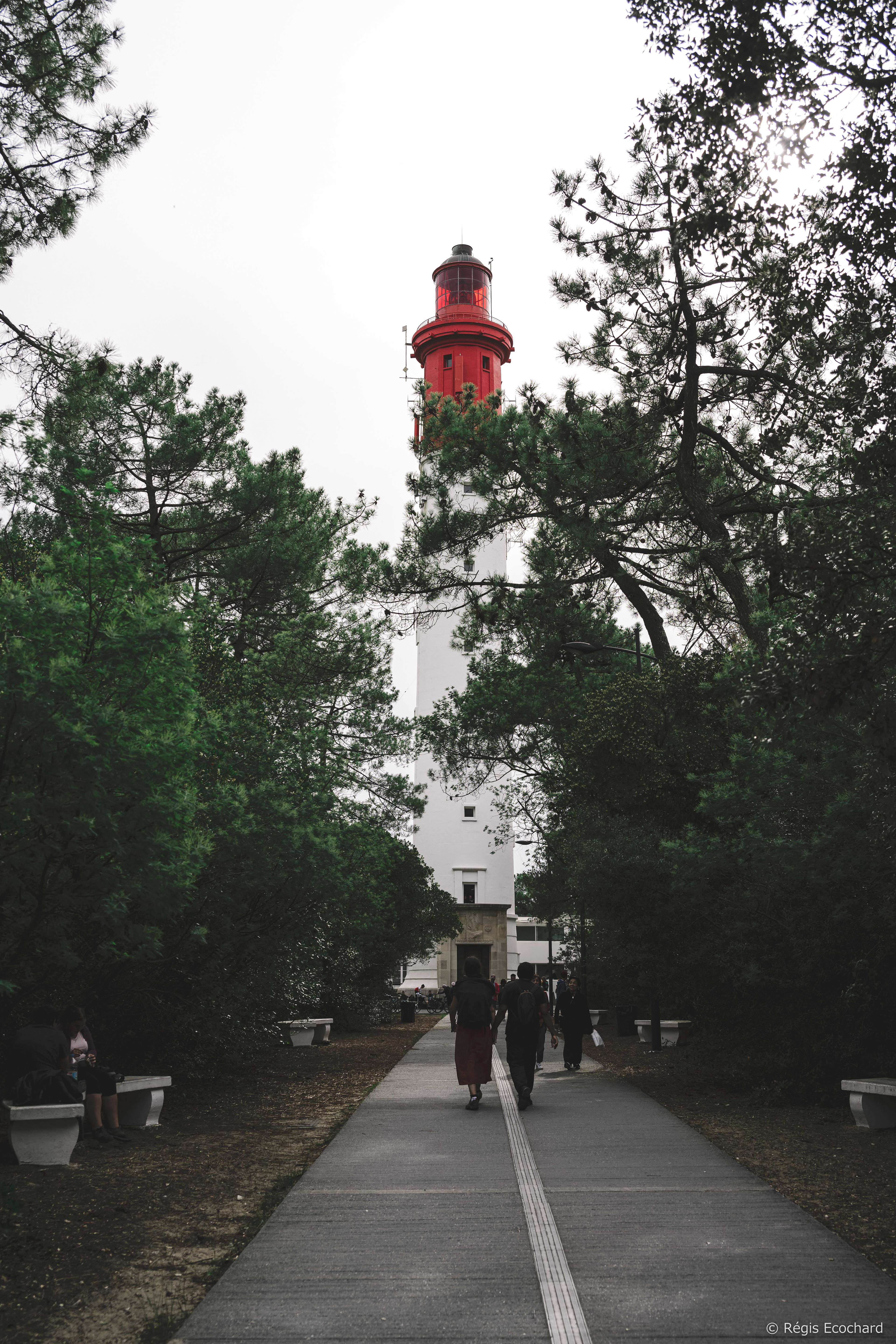 CAP FERRET