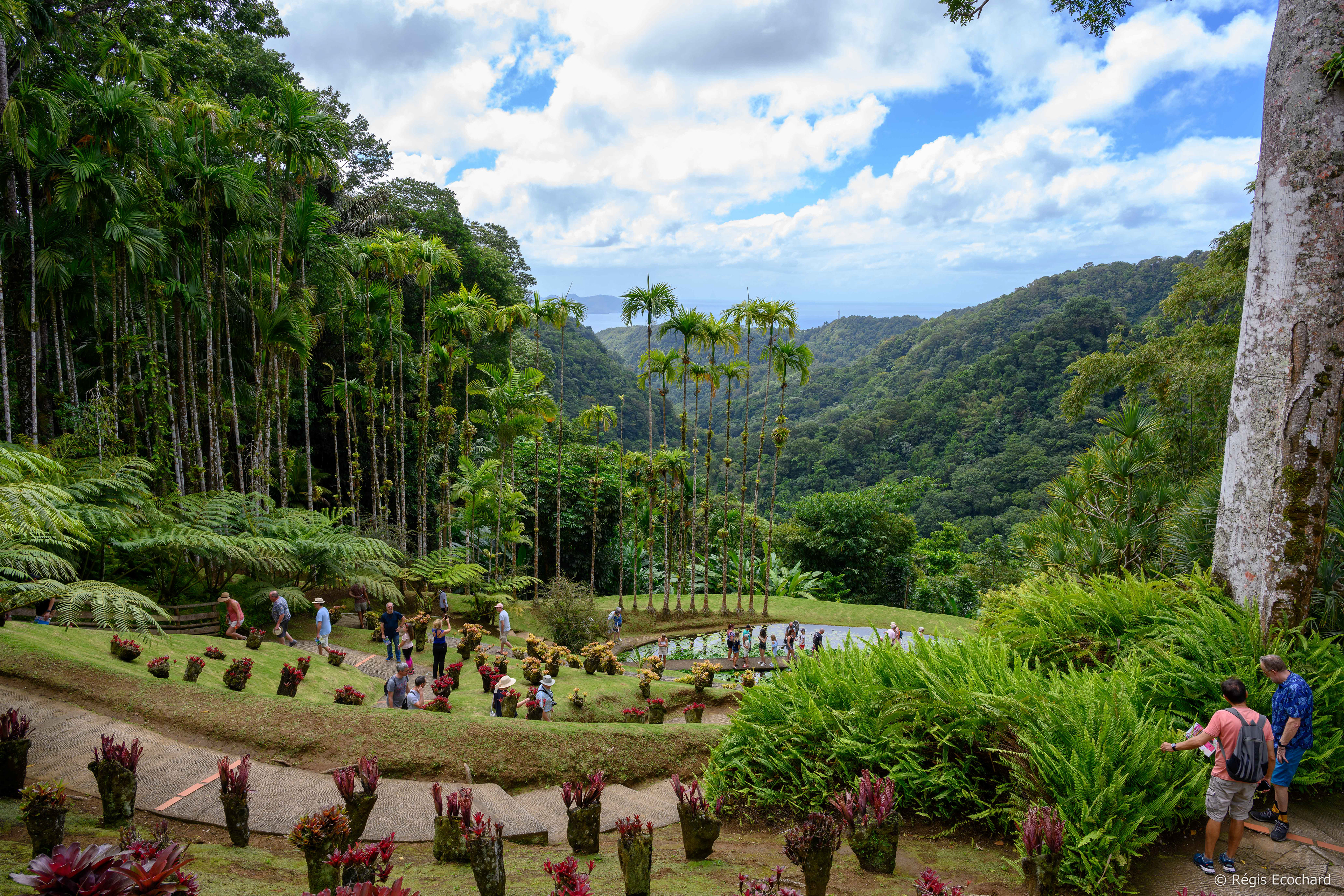 Jardin De Balata